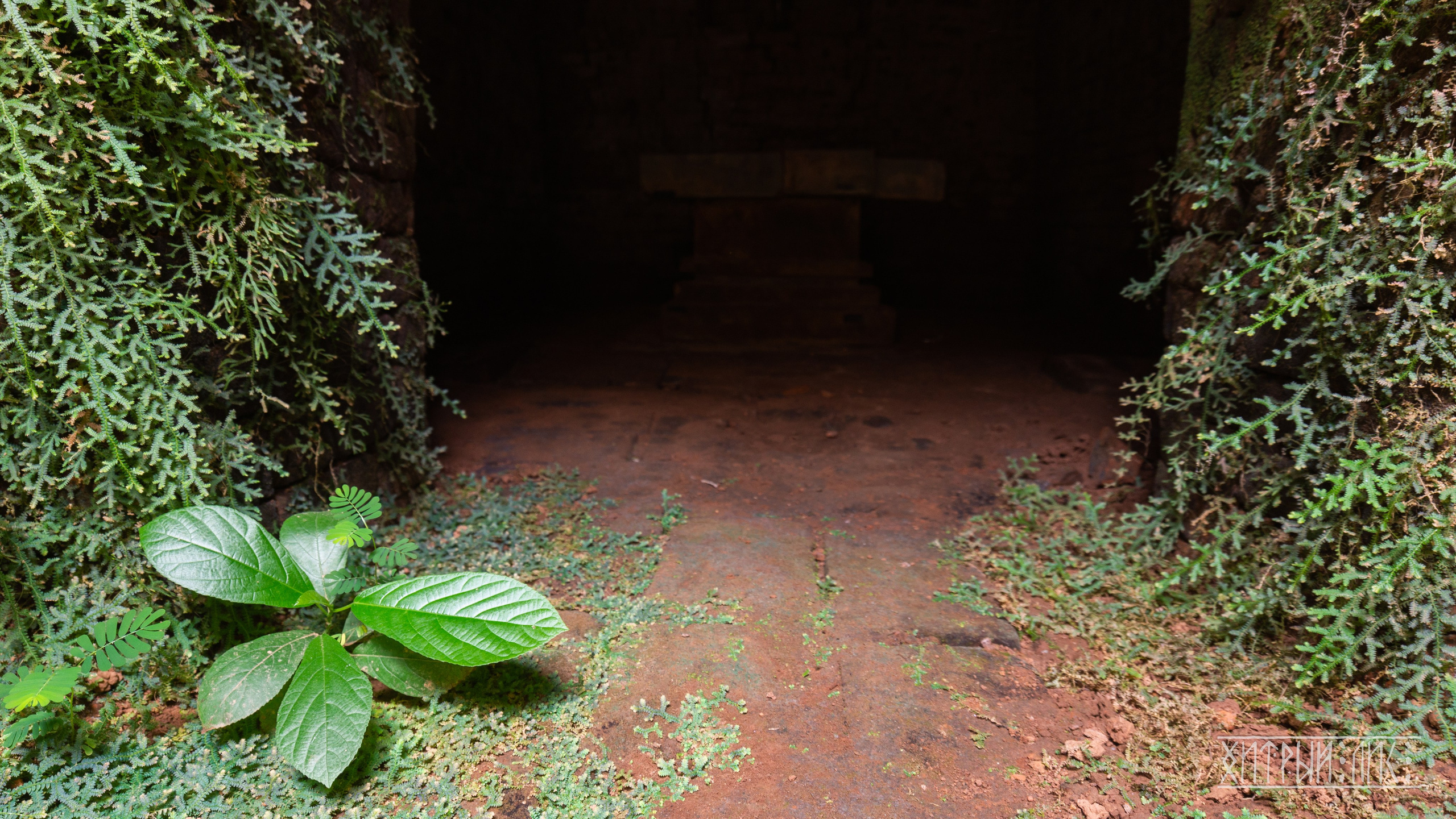 Вьетнам. Фотограф-путешественник Самойлов Максим «Sly Fox»