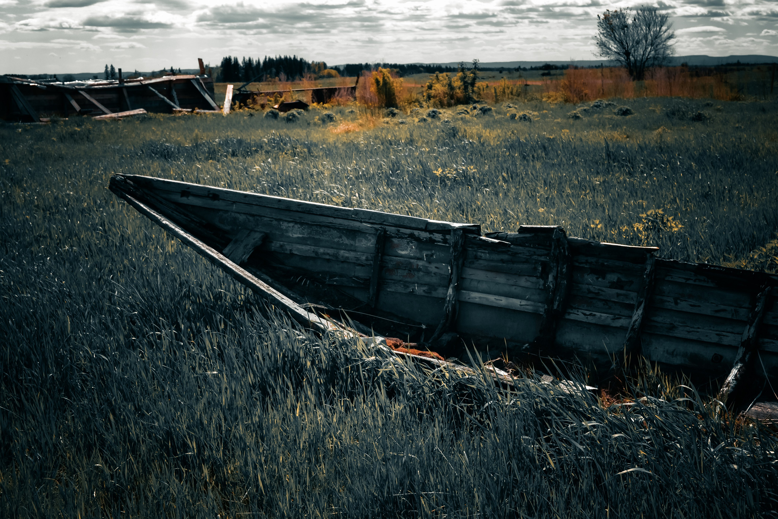 G G L V D M T R | Фотограф в Красноярске