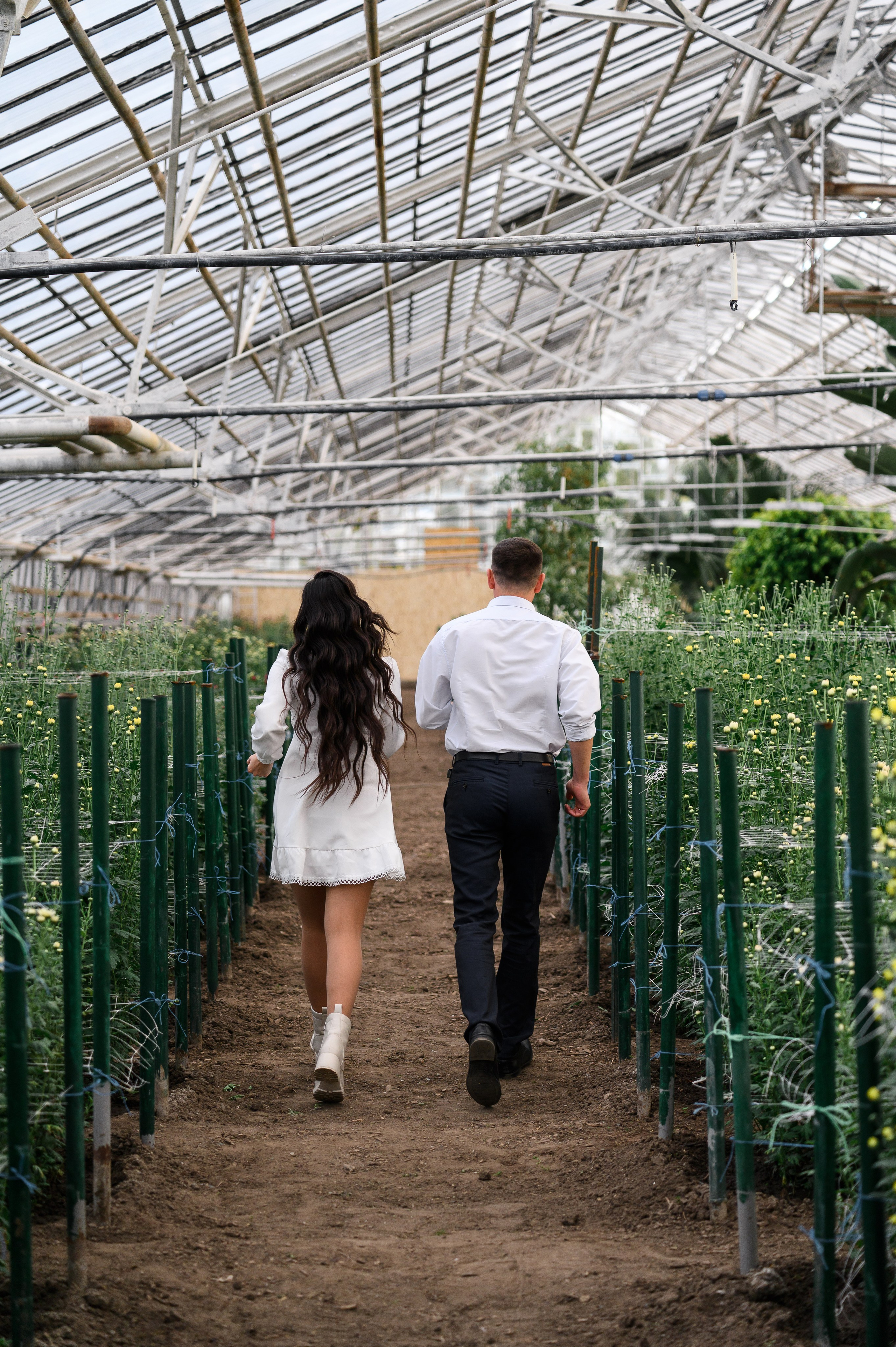 Фотосессия в Оранжерее. Свадебный и travel фотограф в Волгограде, Сочи, Домбае, Европе