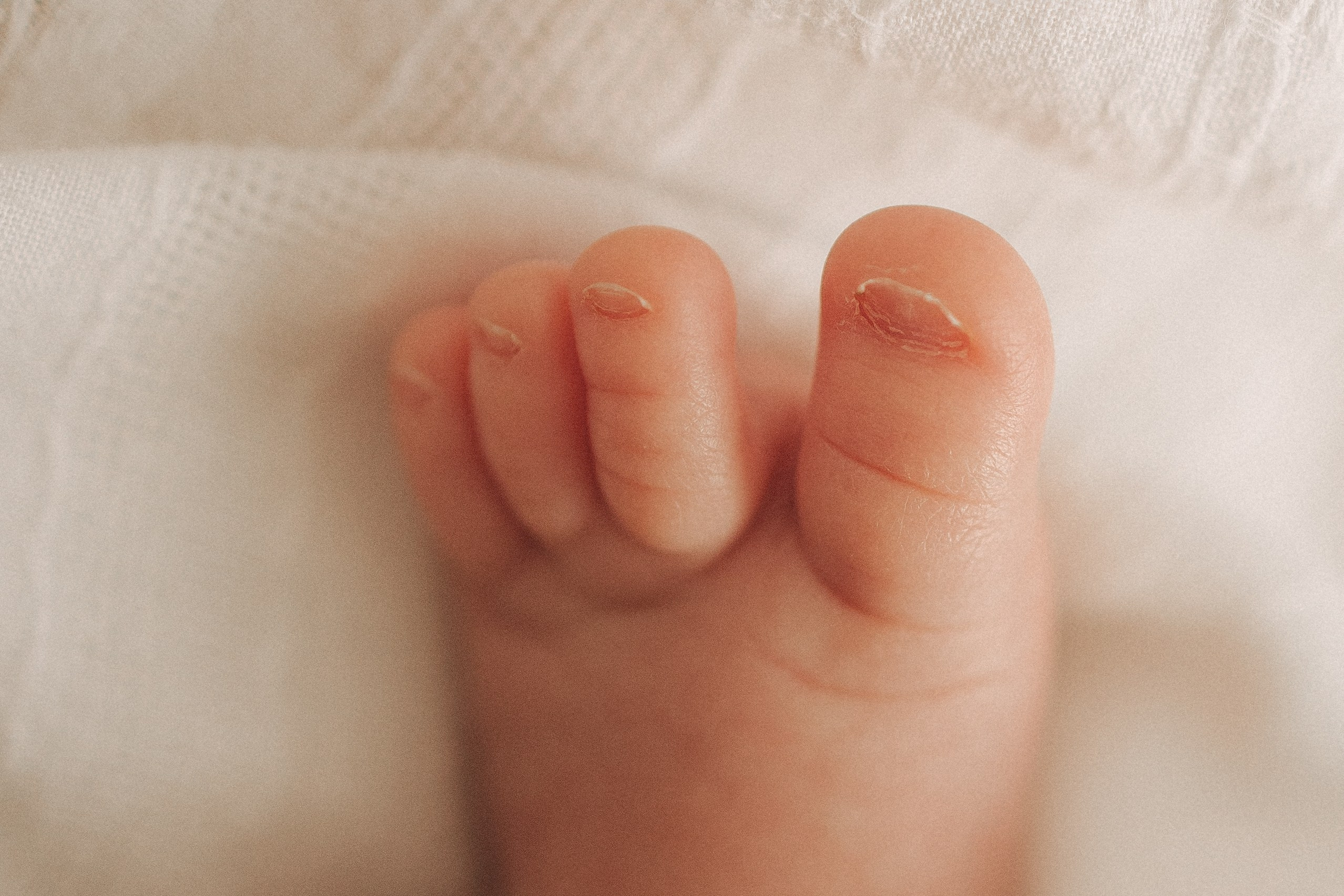 Лёвушка. Семейный фотограф Москва Наталия Осьмакова