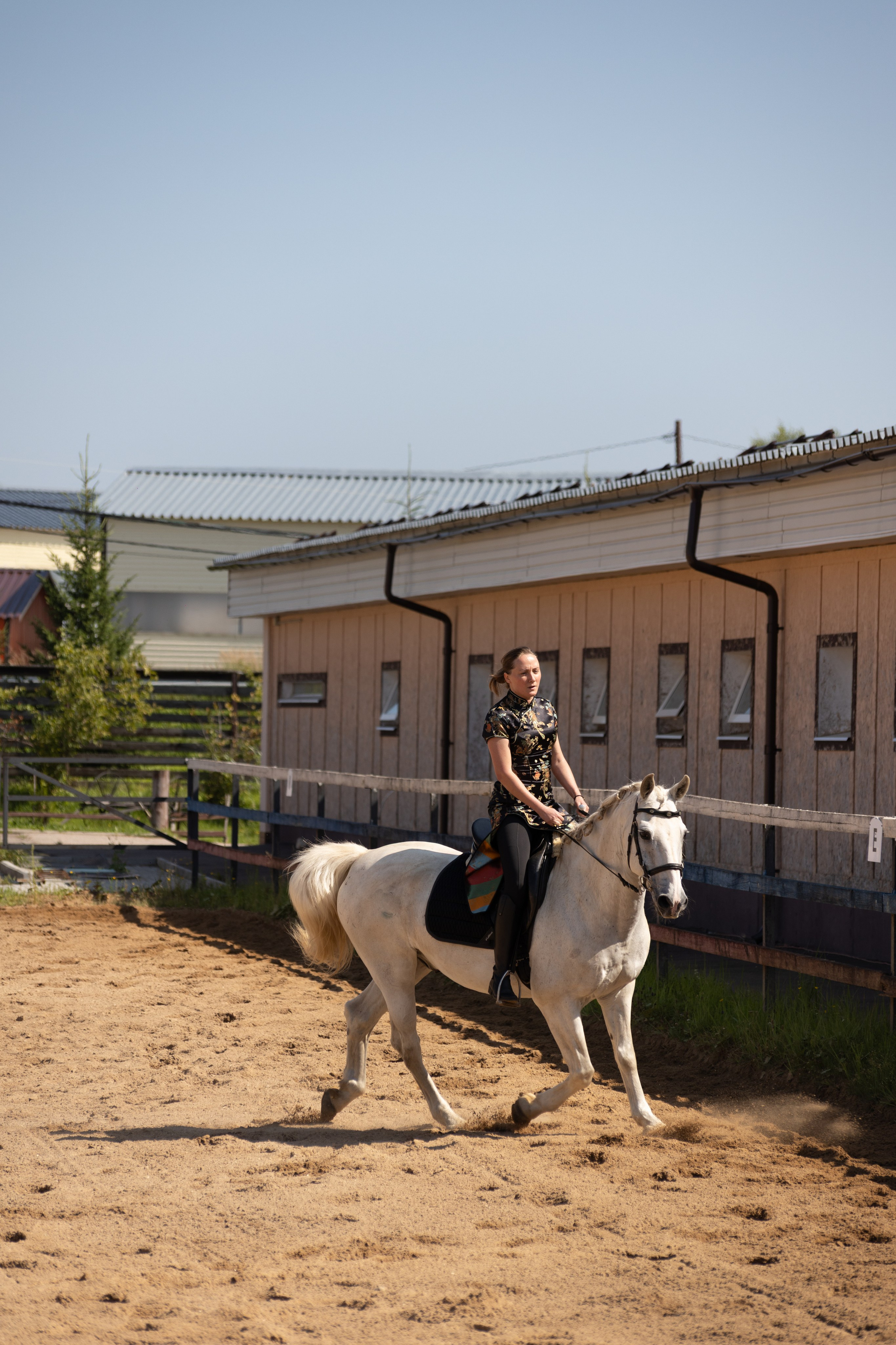 Конюшня. Фотограф в Москве и Истре