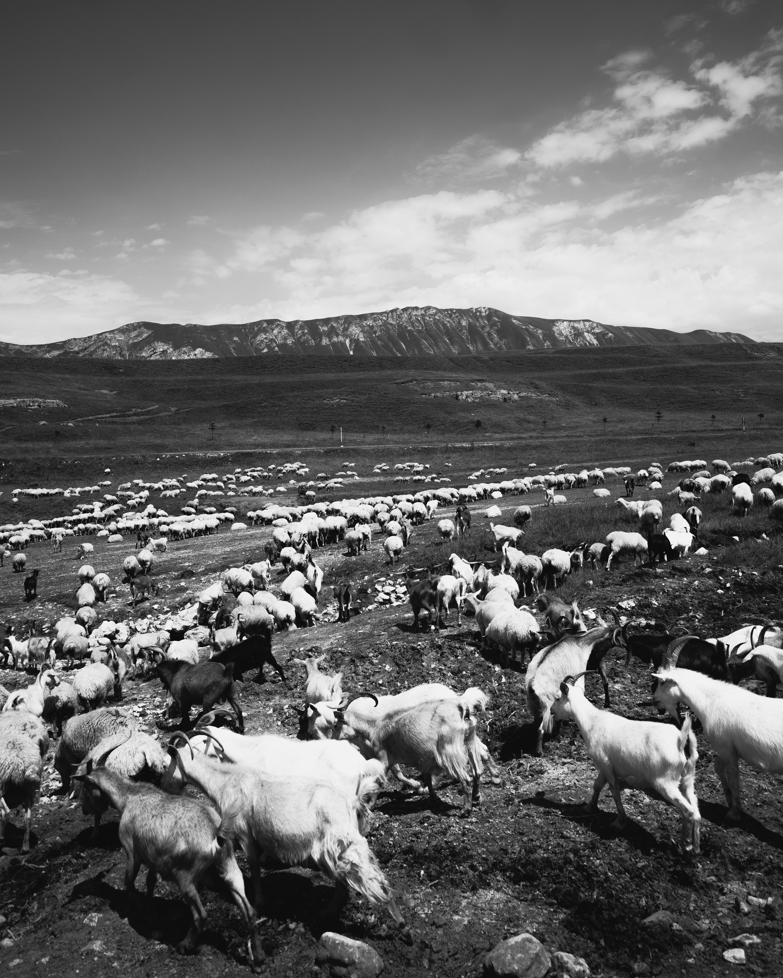 Dagestan / Yandex 360 x КУДА ГЛАЗА ГЛЯДЯТ