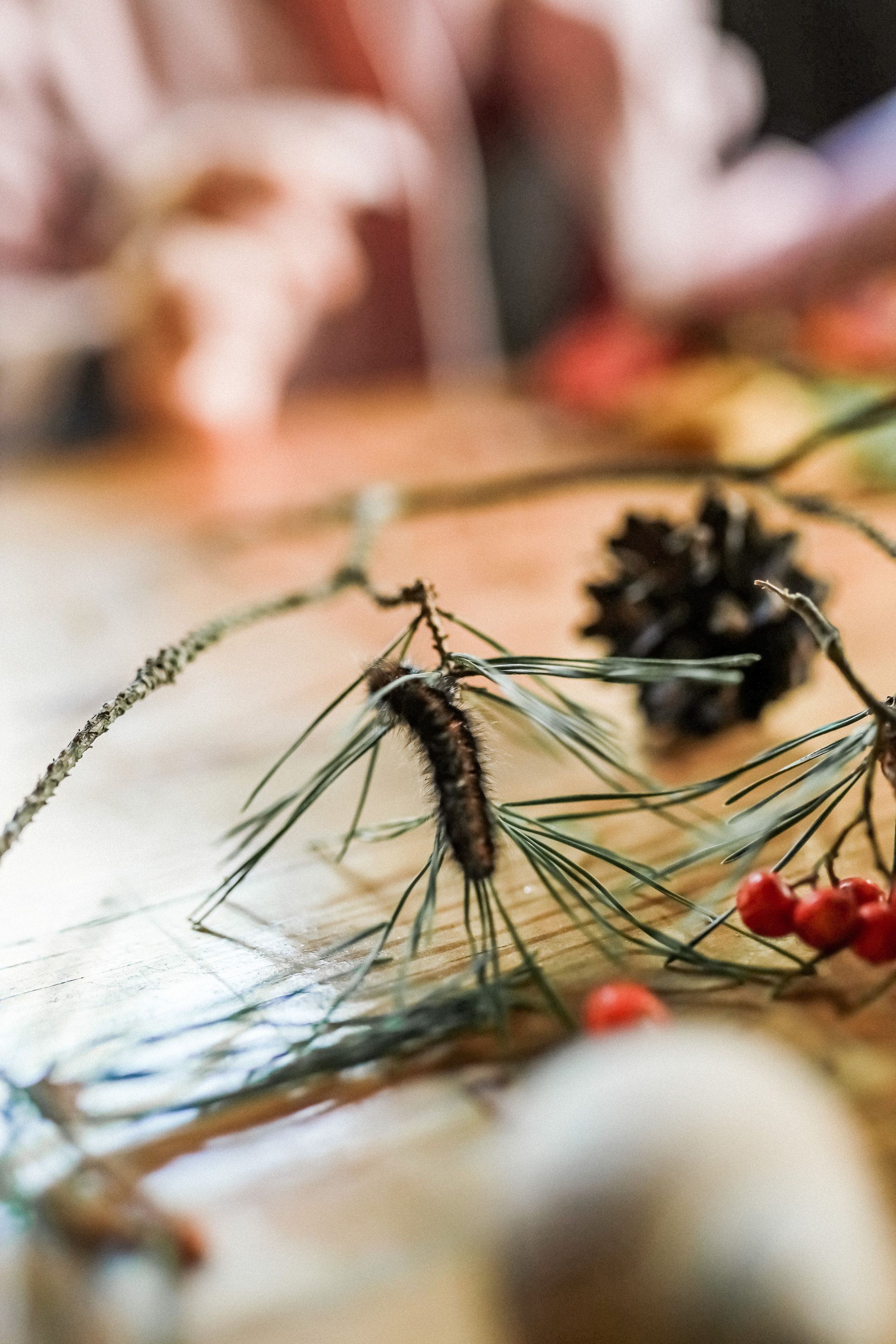 И снова вместе! Йога дача!. Профессиональный фотограф, Москва |Видное Елена Елизарова