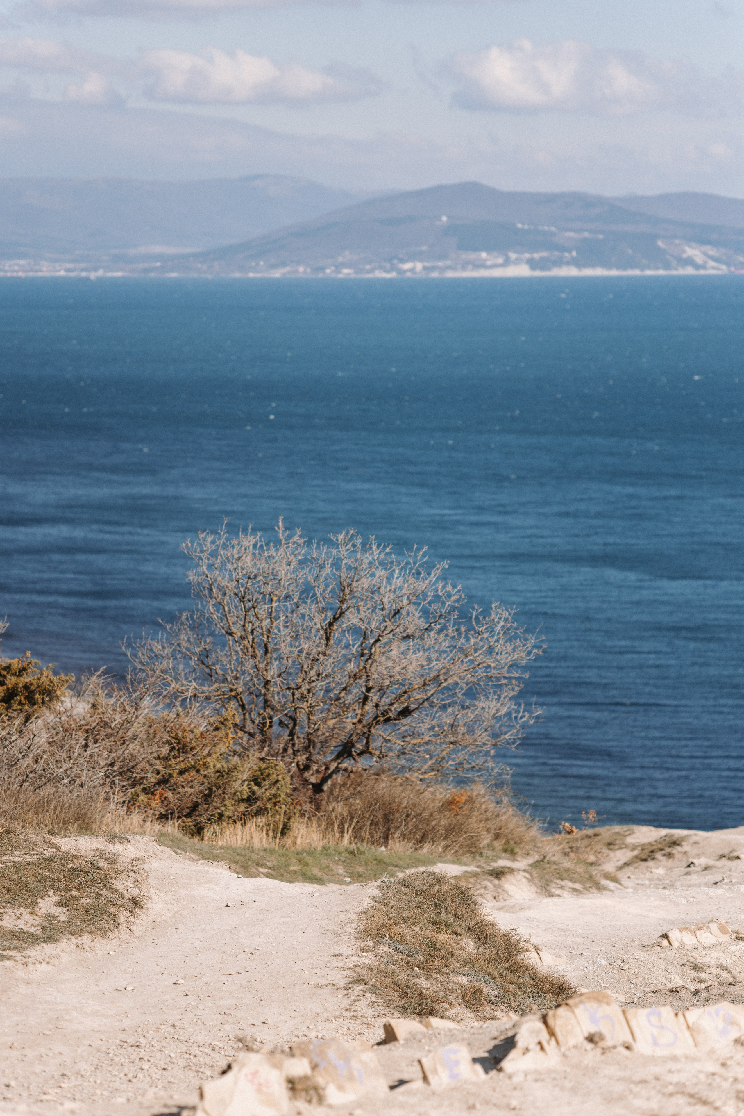 Macro. Фотограф на Юге России