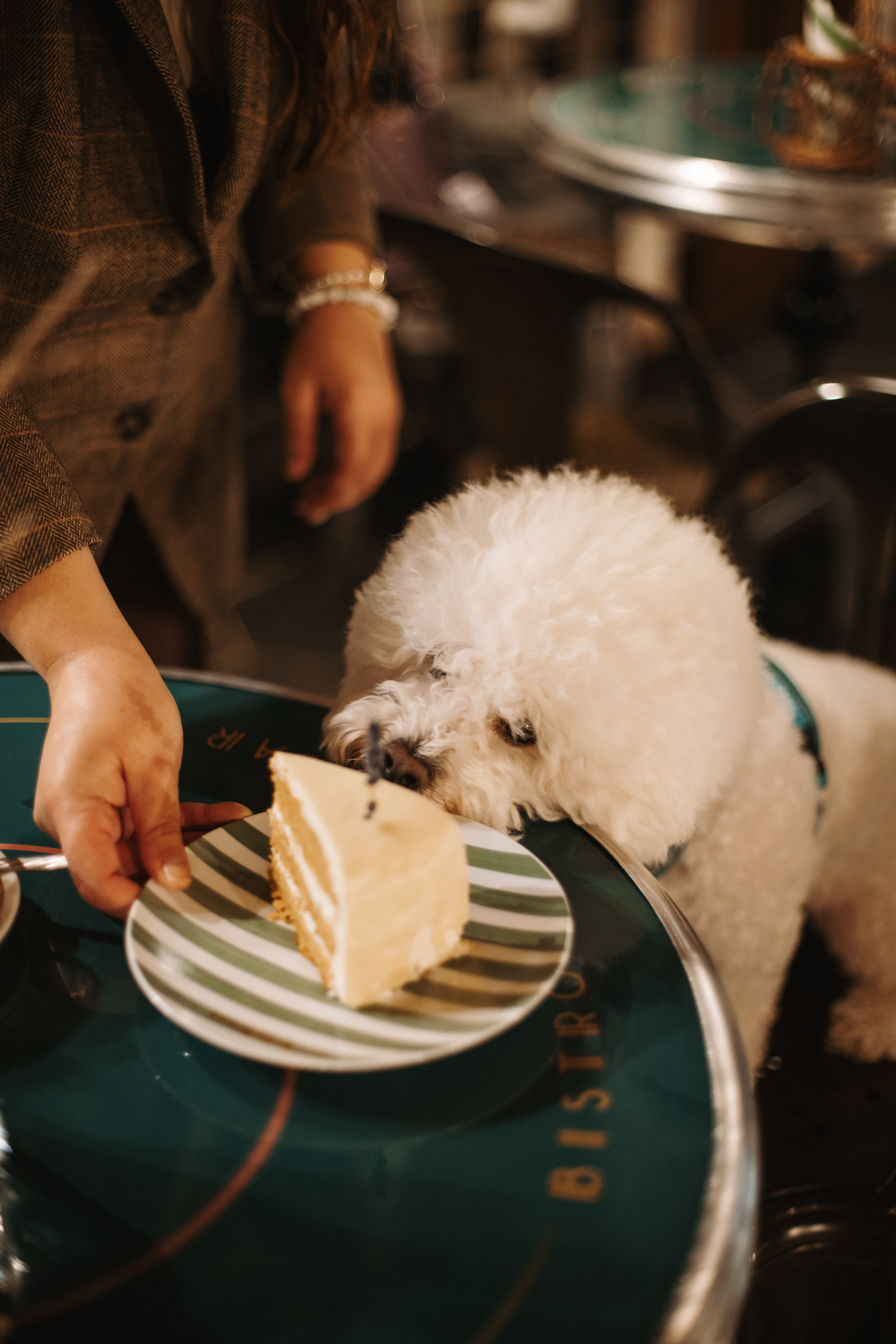 Adrian Bistro. Фотограф на Юге России