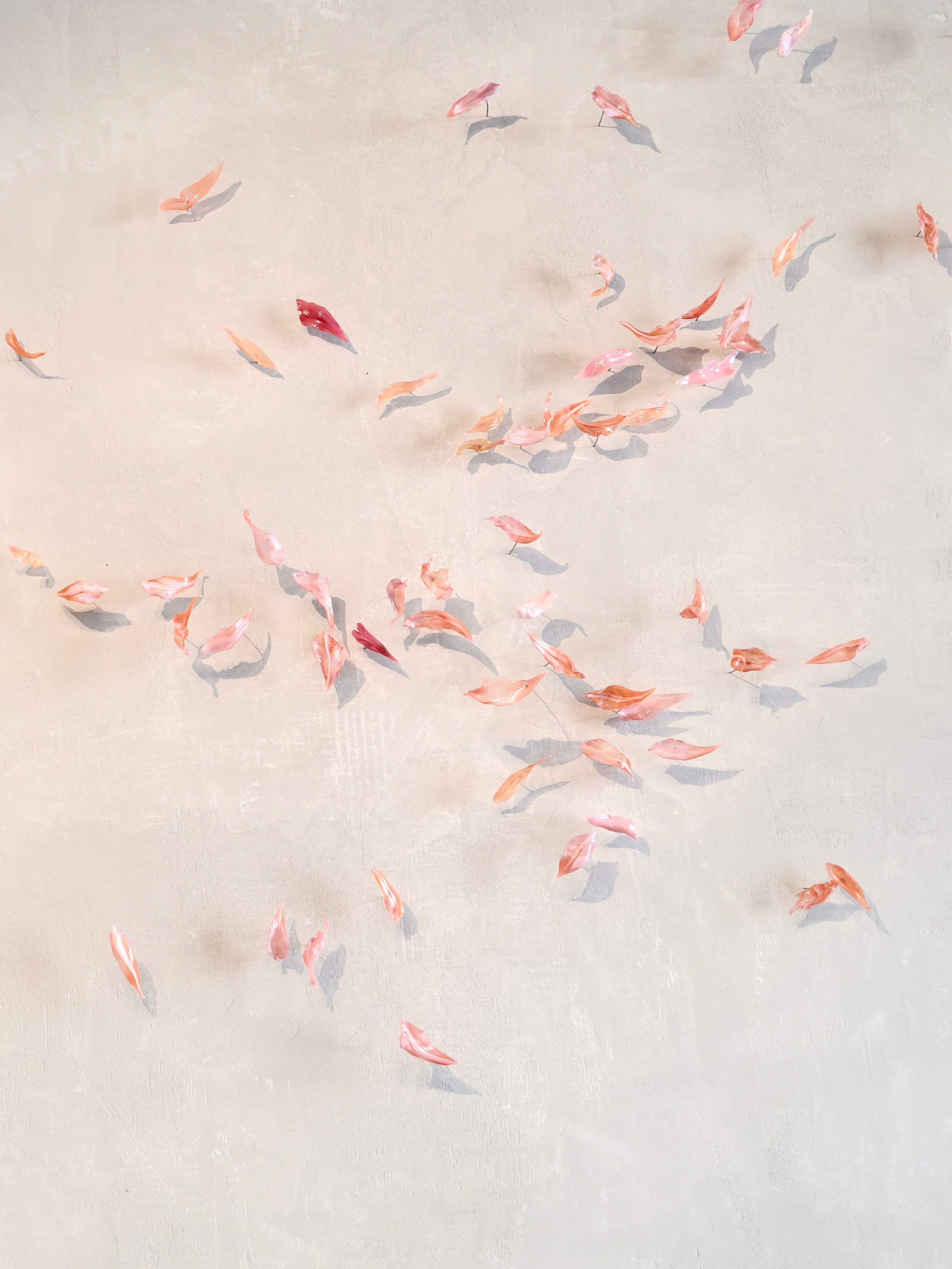 Выставка Степени прозрачности. Фотосессии и репортаж — Фотограф в Москве — Рина Серёгина