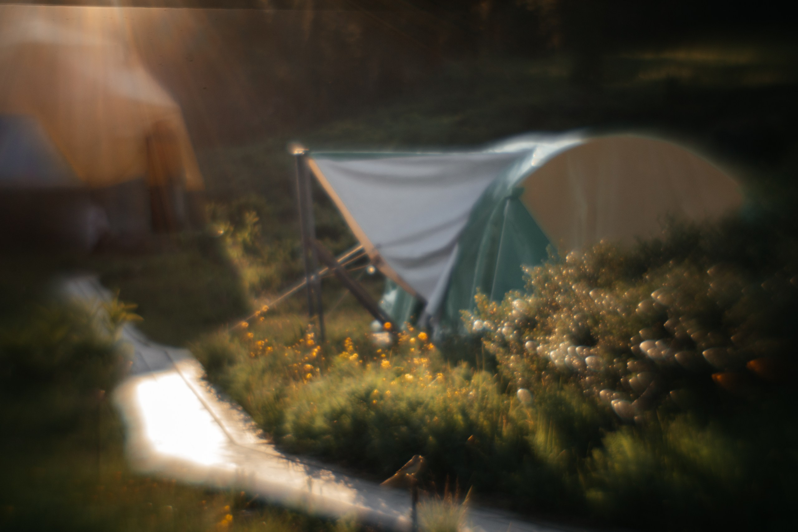 Ловец снов. Фотограф в Красноярске Оксана Корчагина