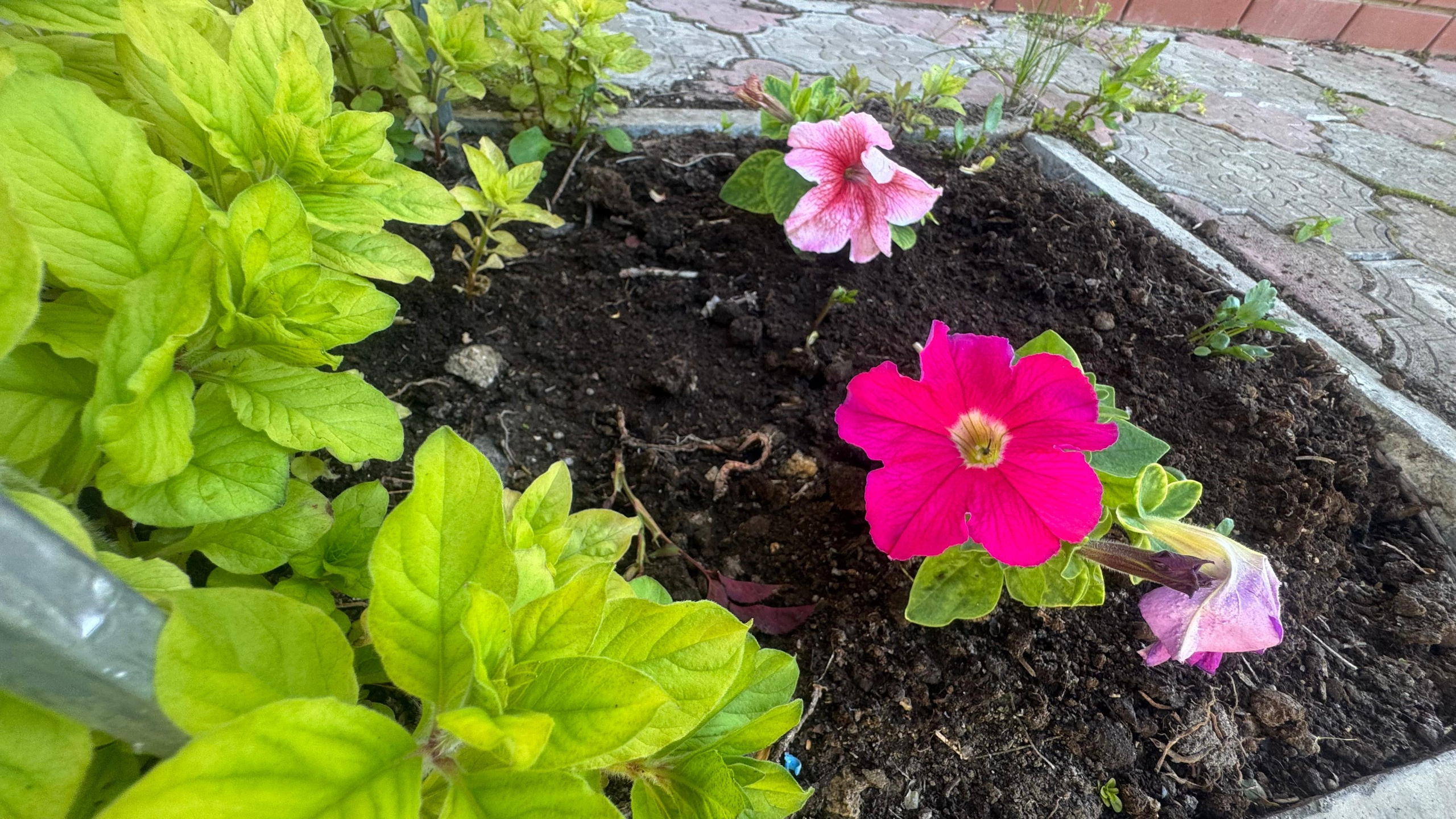 Наша территория. Гостевой дом «Райский уголок»