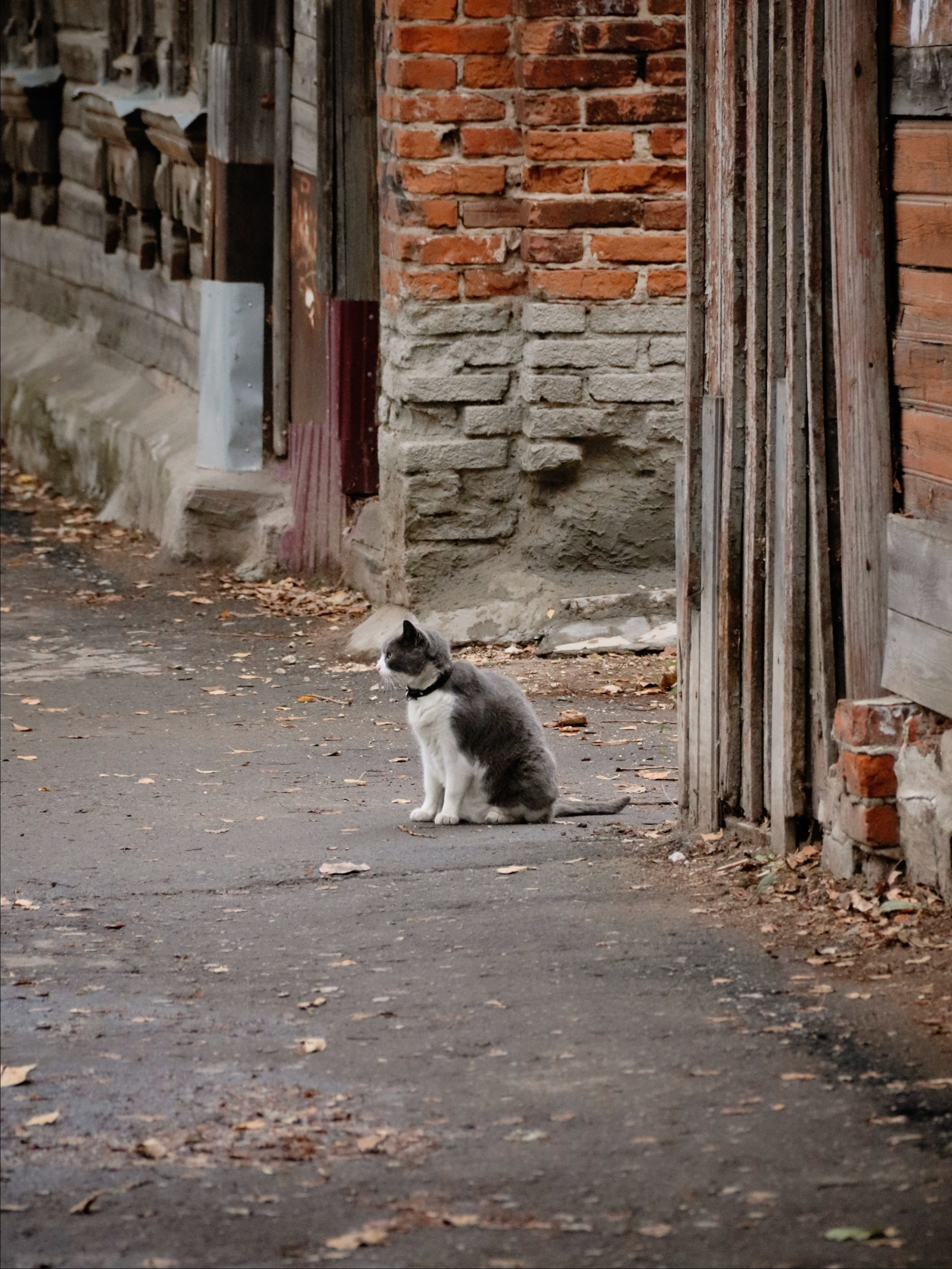 Уличные модели. С любовью, фотохудожник