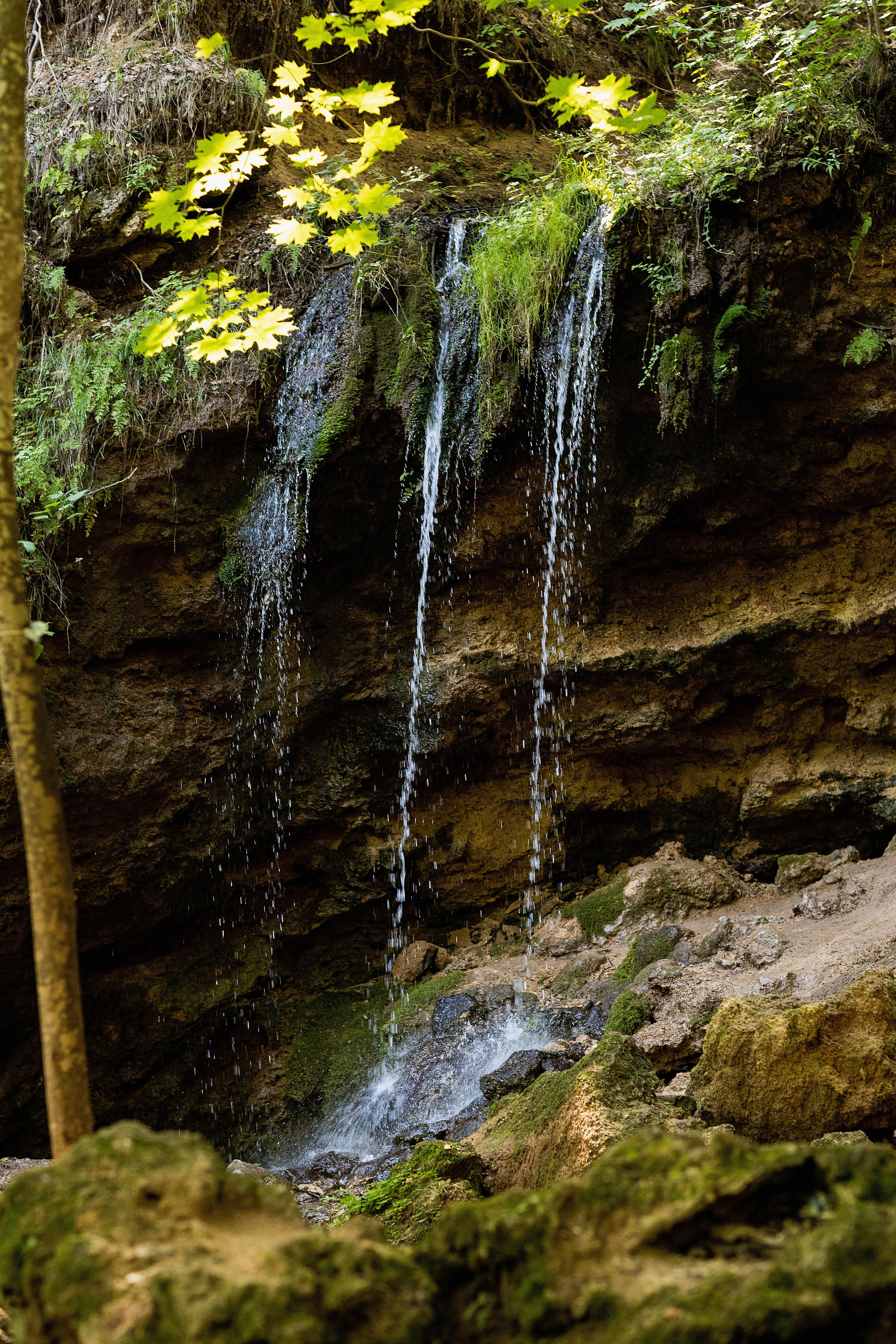 Фотосессия с Леной в Моргаушском районе. Портретный и репортажный фотограф в Чебоксарах Андриян Чаркин