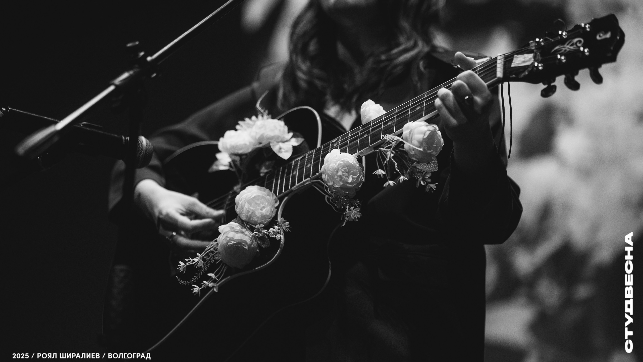 Студенческая весна | Регион | 2025. Royal Shirali