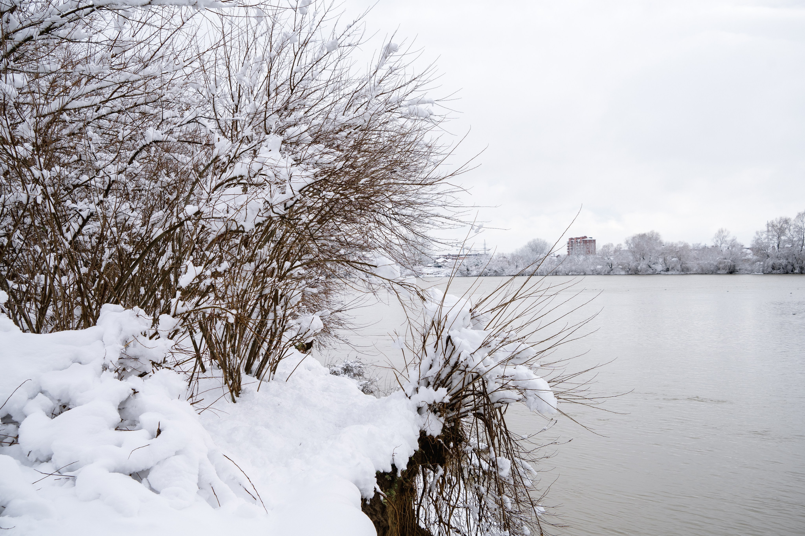 Зима 2024. Свадебный и семейный фотограф/видеограф в Краснодаре Наталья Осинская