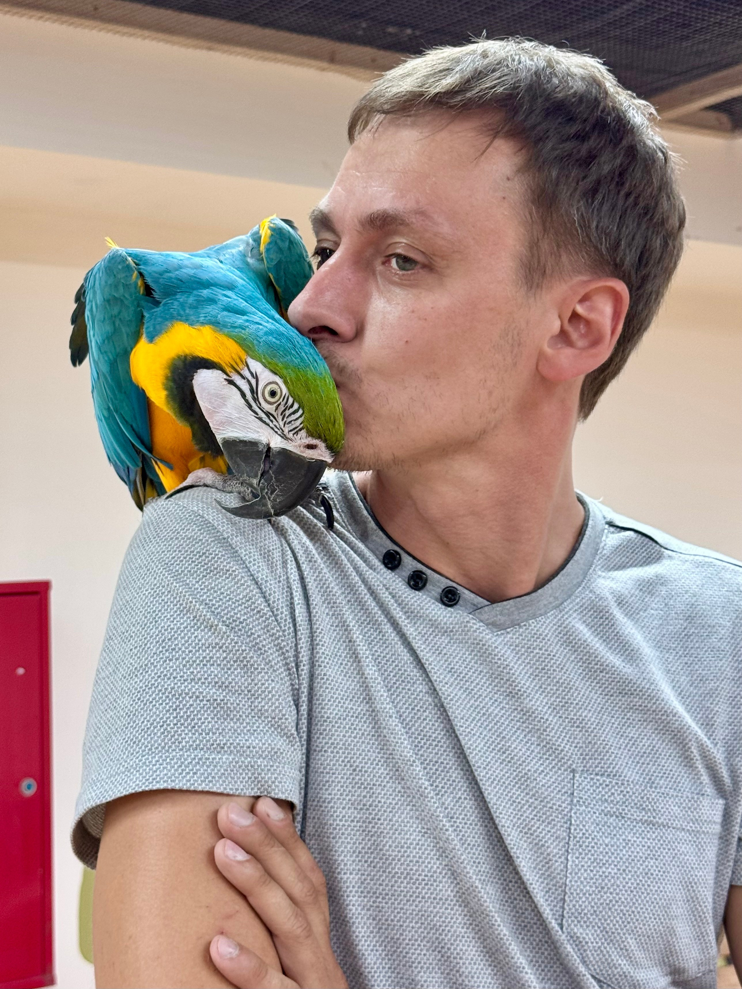 Попугайчики и детки. Фотограф и видеограф Апокина Мария Москва