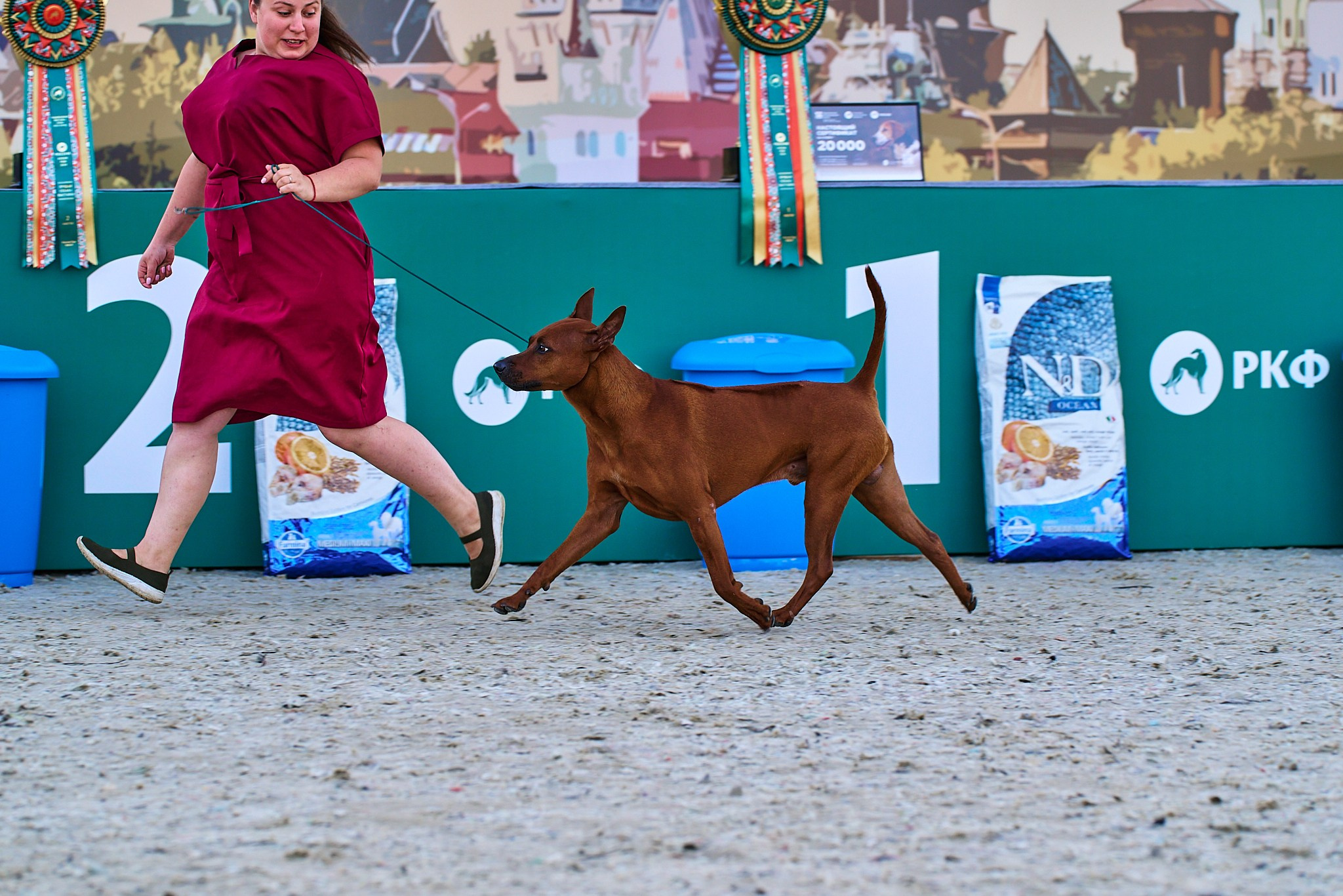 08.06.2024 «РОССИЯ. КУБОК РКФ 2024»