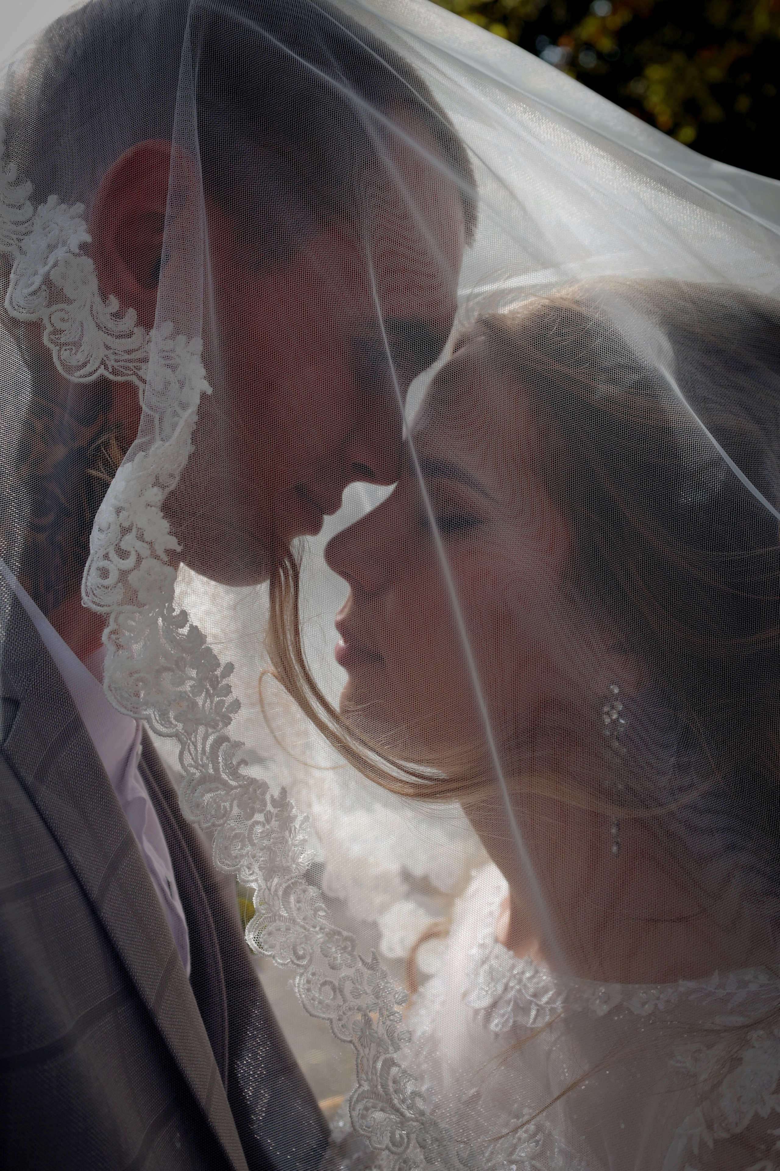 Алина и Дмитрий г. Шахты 31 августа 2024. Свадебный фотограф ростовская область