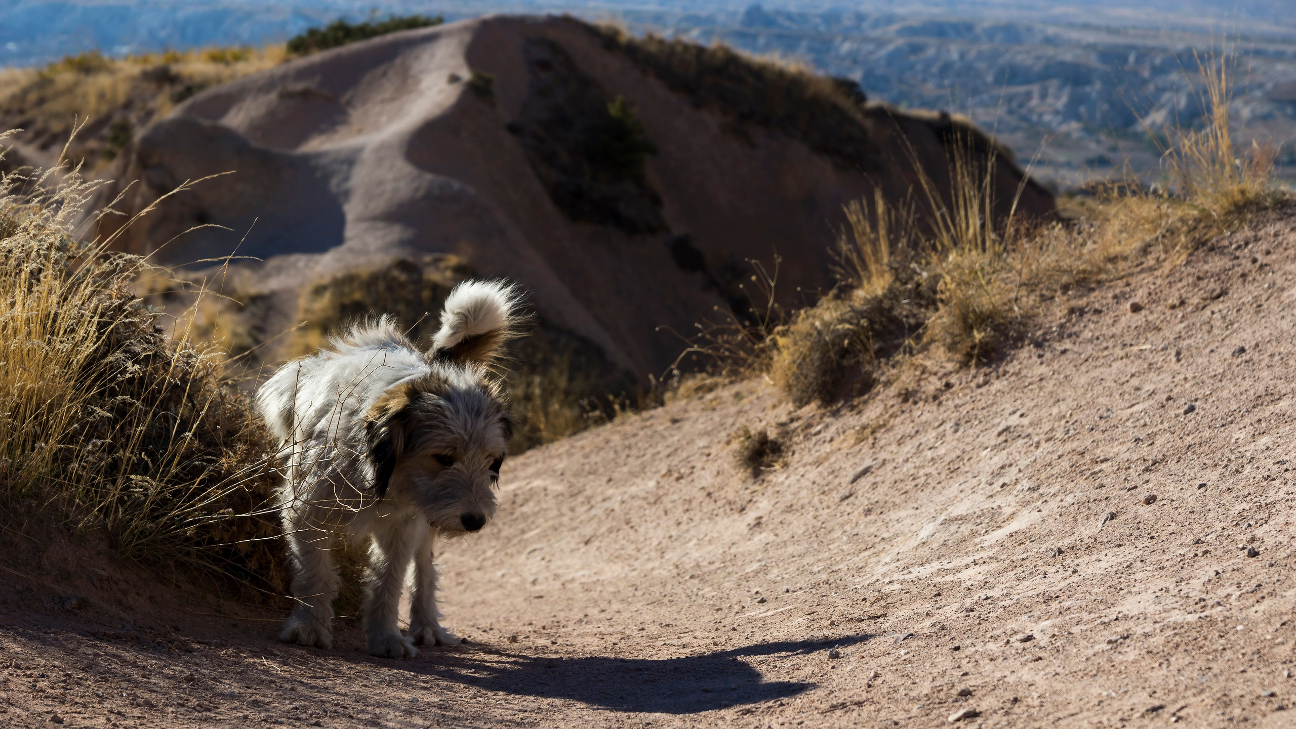 Каппадокия. Фотограф-путешественник Самойлов Максим «Sly Fox»