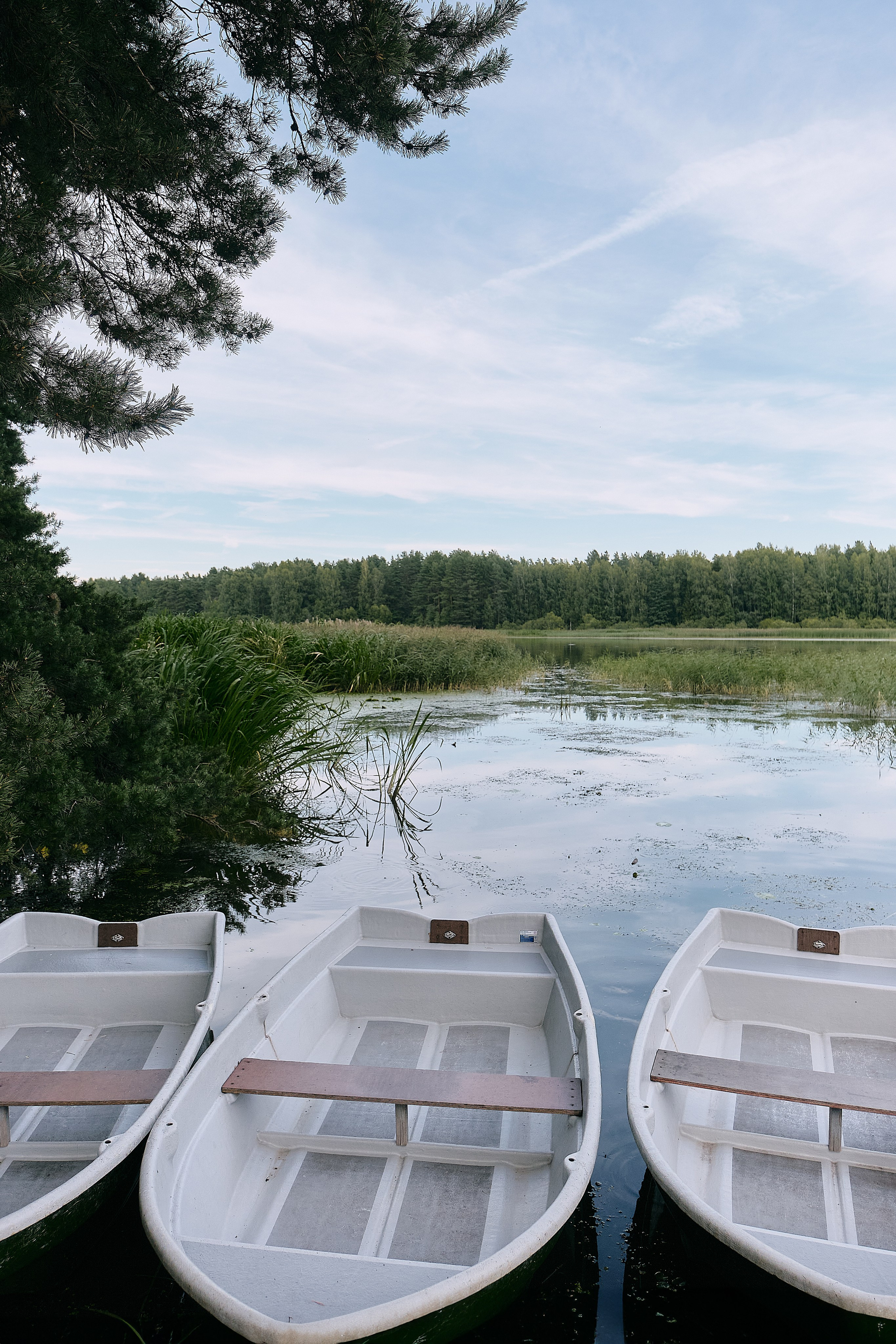 Александр и Екатерина. Фотограф в Москве и Санкт-Петербурге