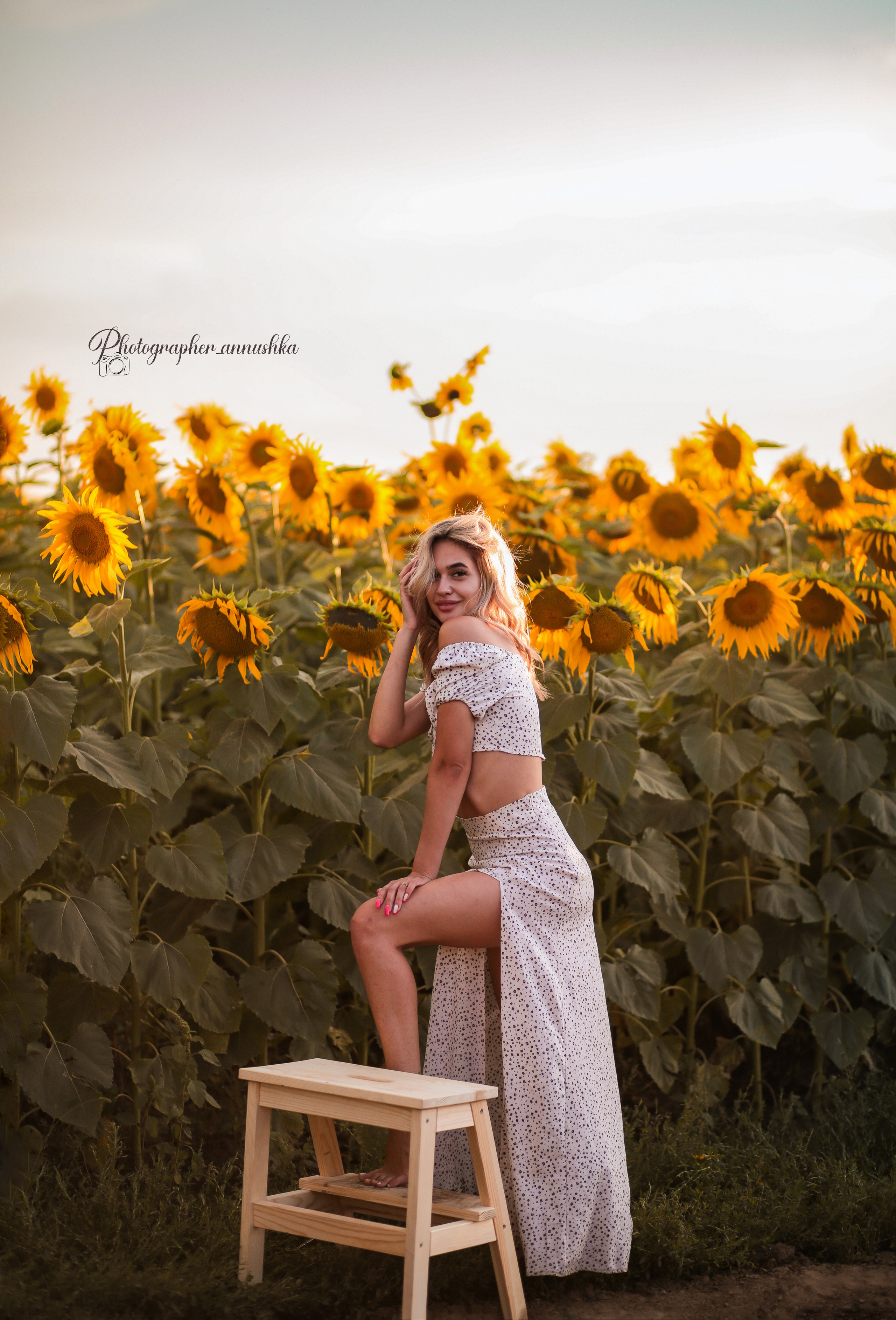 Золотые подсолнухи