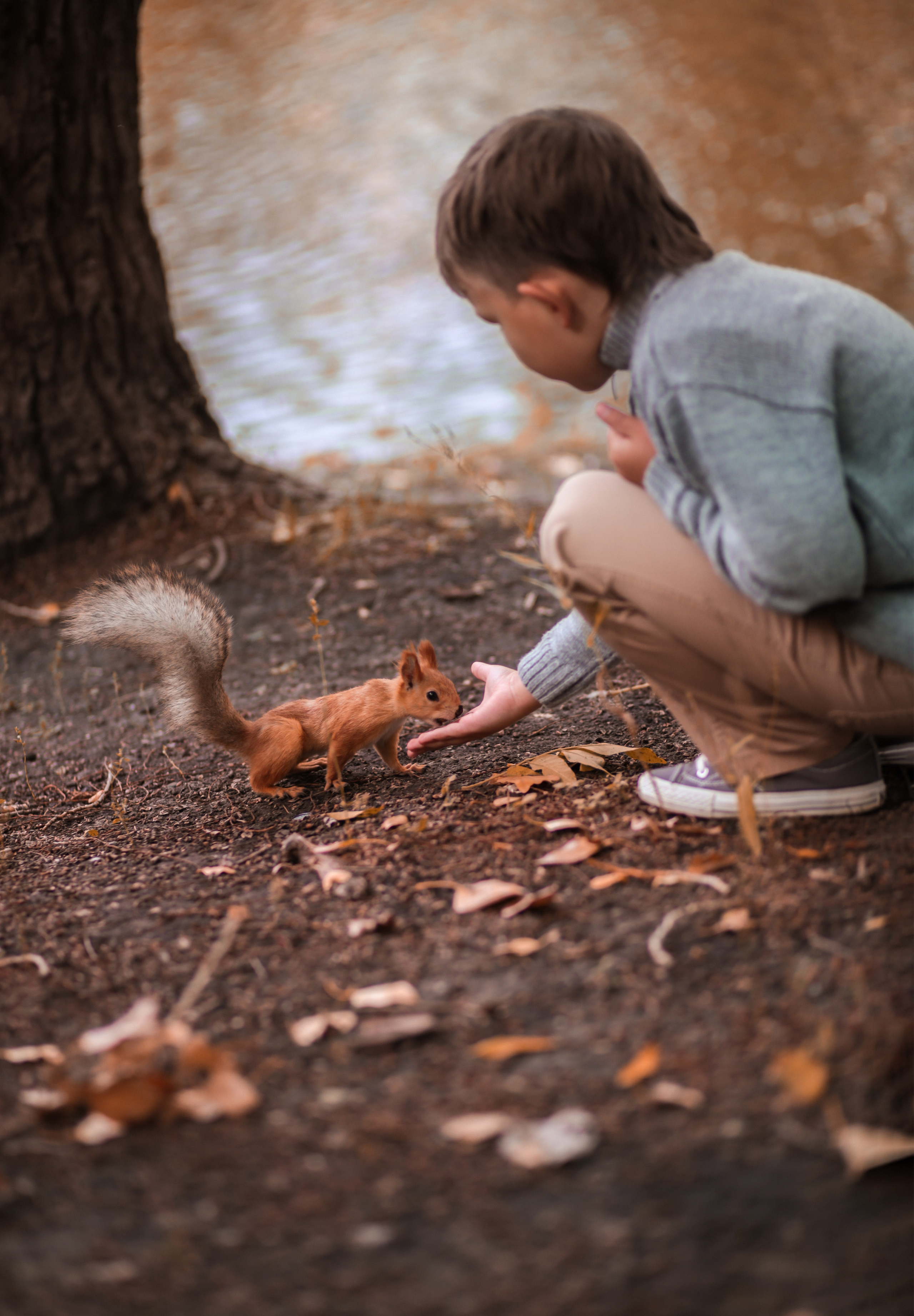 В осеннем парке. Семейный фотограф в городе Саратове — Анна