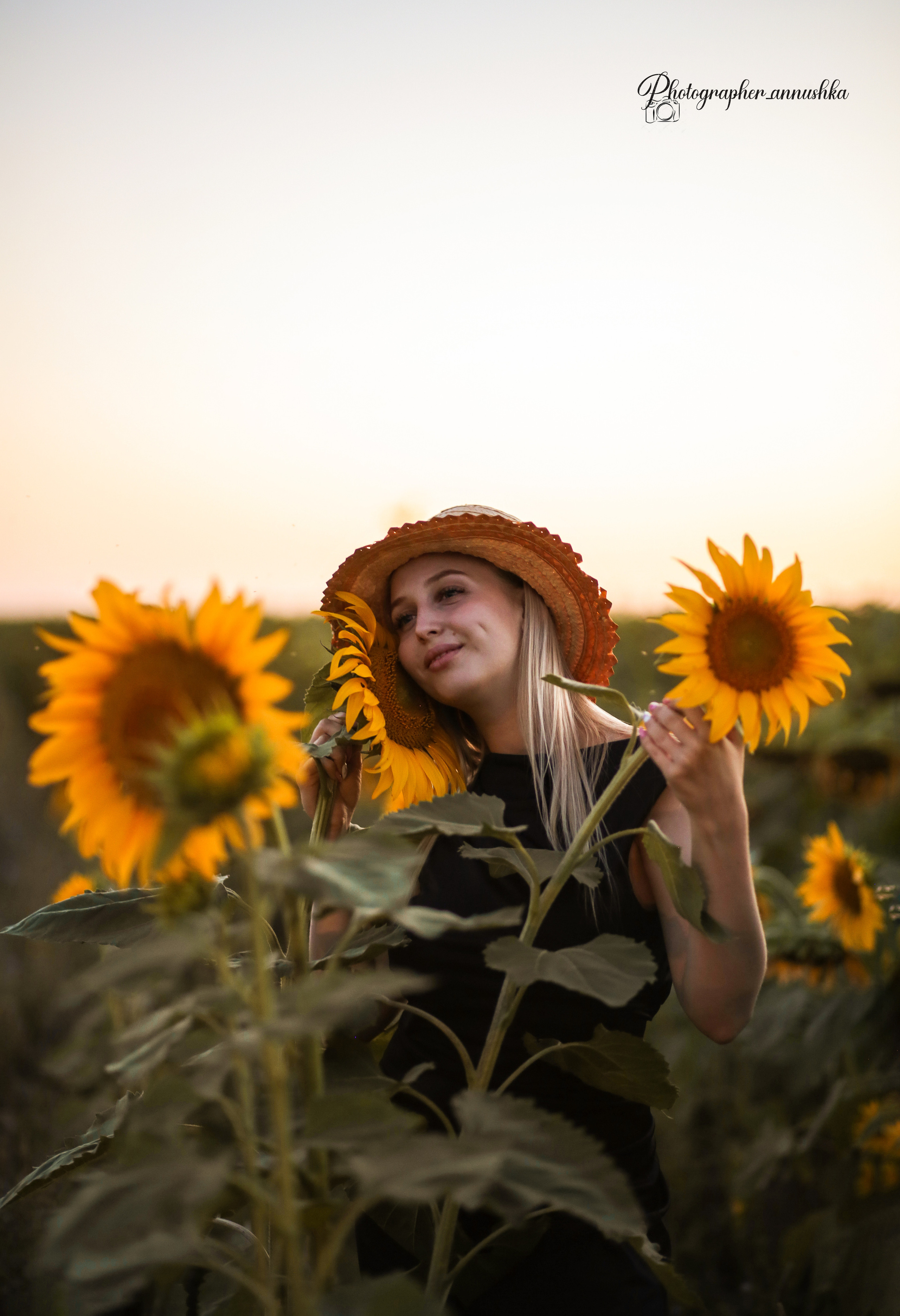 Золотые подсолнухи. Семейный фотограф в городе Саратове — Анна