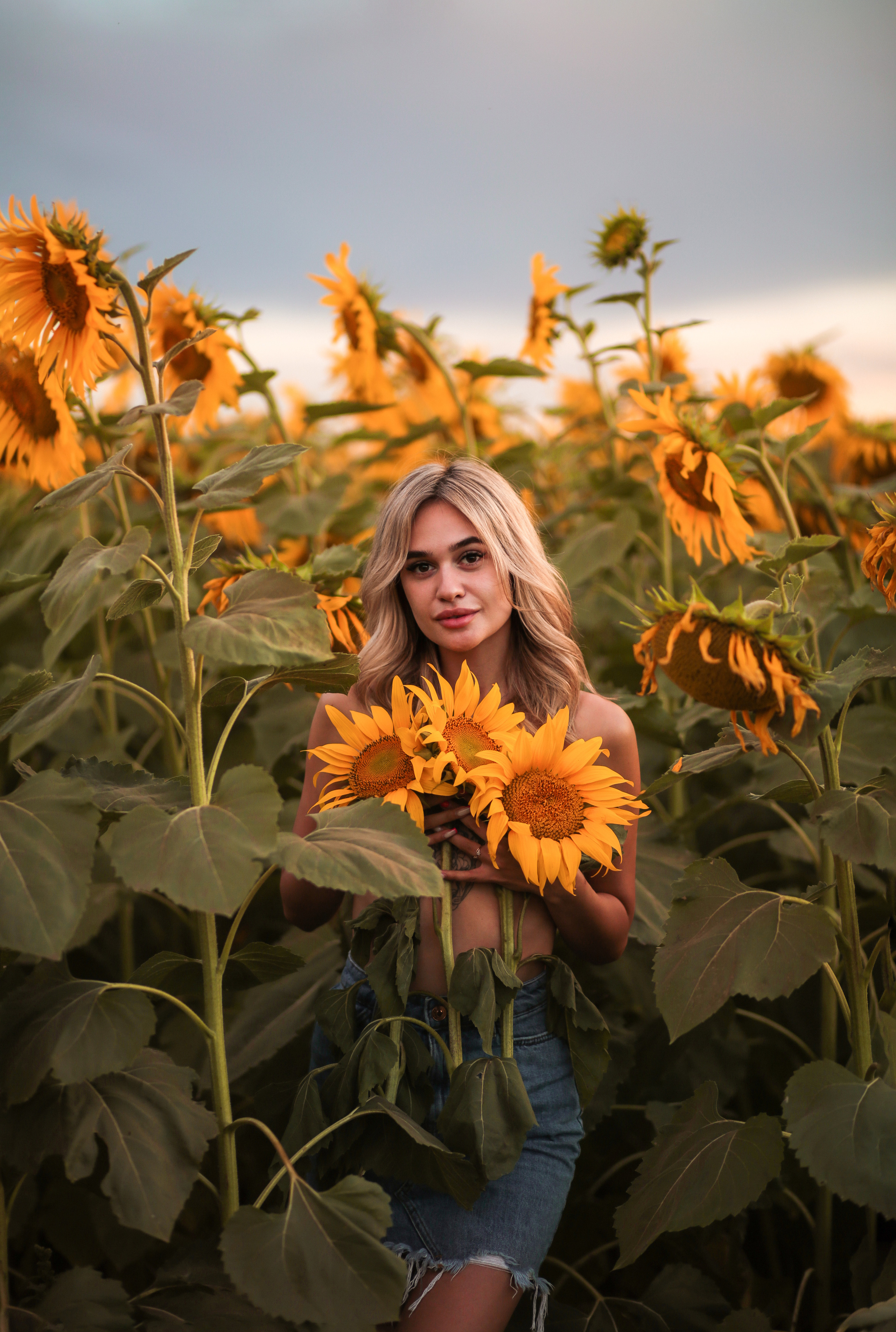 Золотые подсолнухи. Семейный фотограф в городе Саратове — Анна