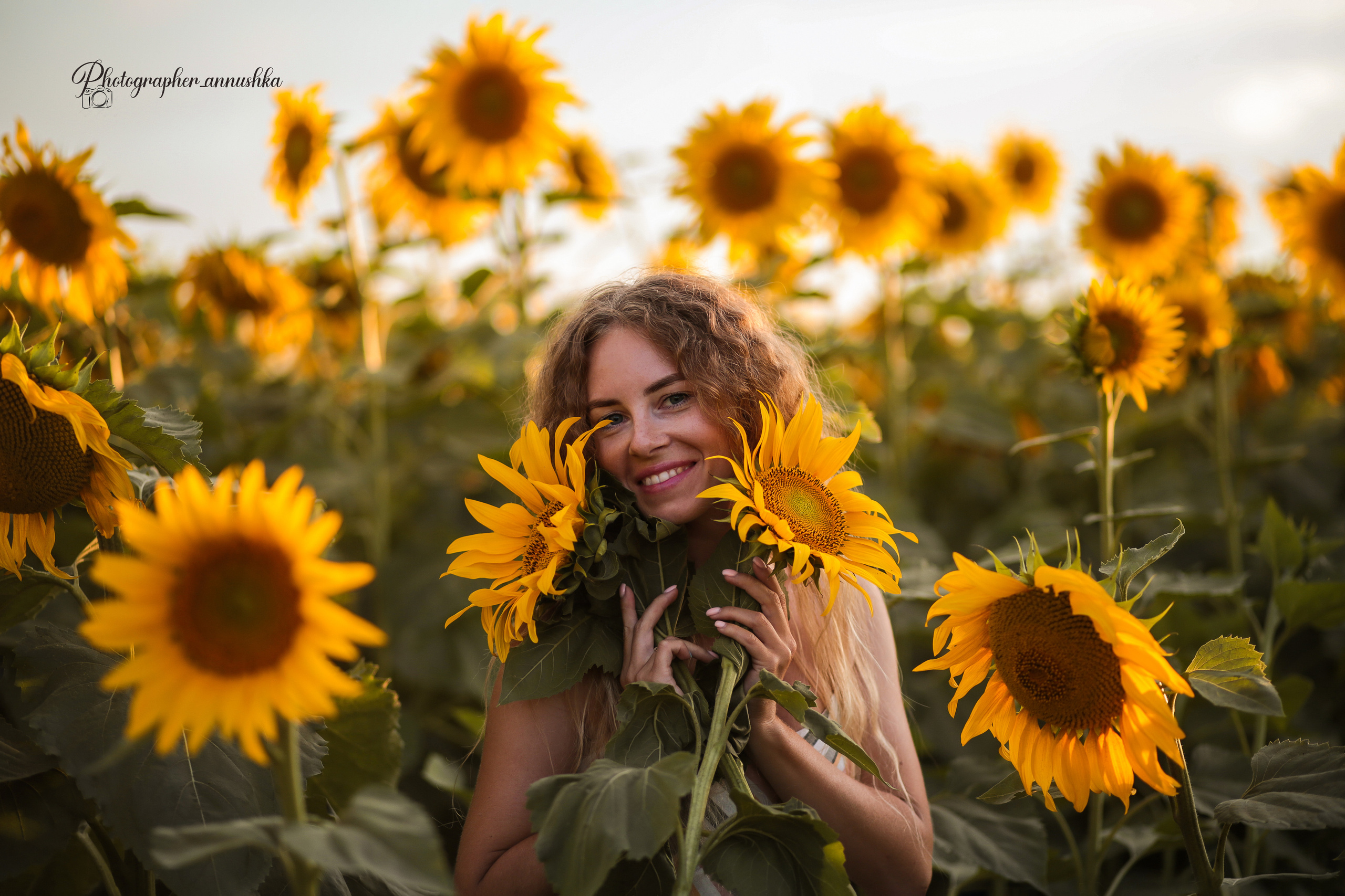 Золотые подсолнухи. Семейный фотограф в городе Саратове — Анна