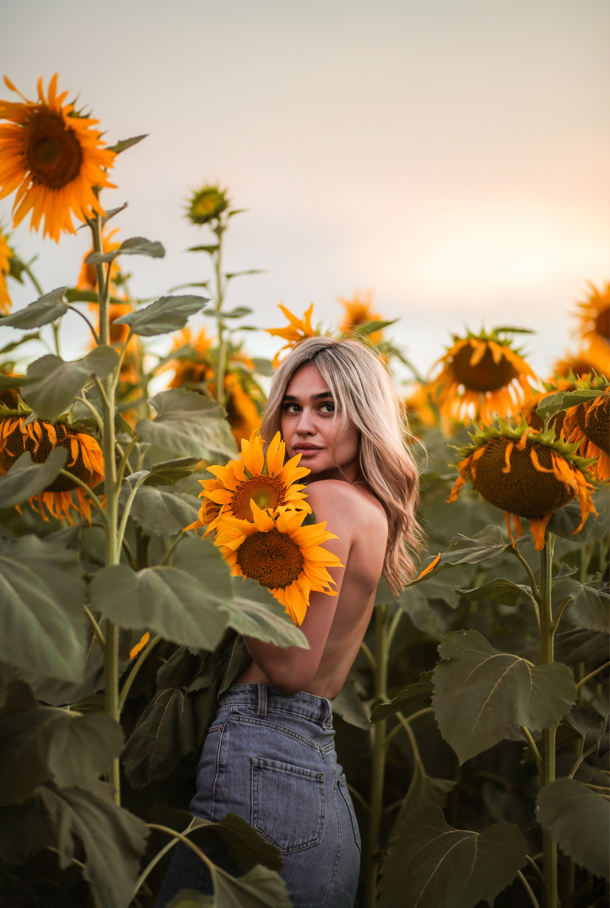 Золотые подсолнухи. Семейный фотограф в городе Саратове — Анна