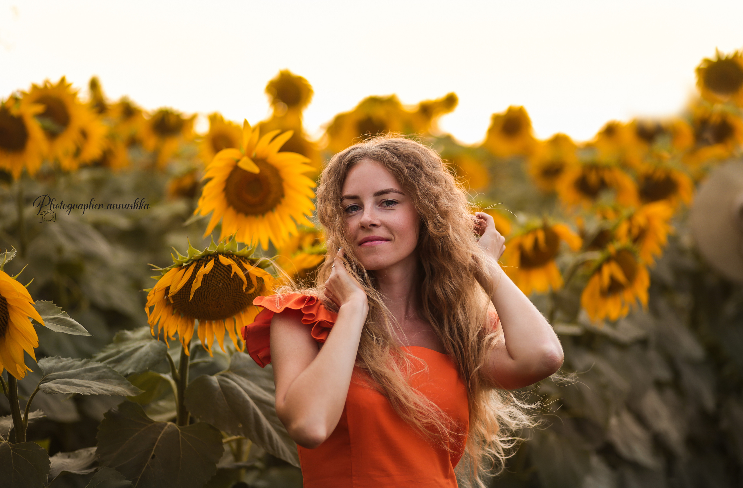 Золотые подсолнухи. Семейный фотограф в городе Саратове — Анна