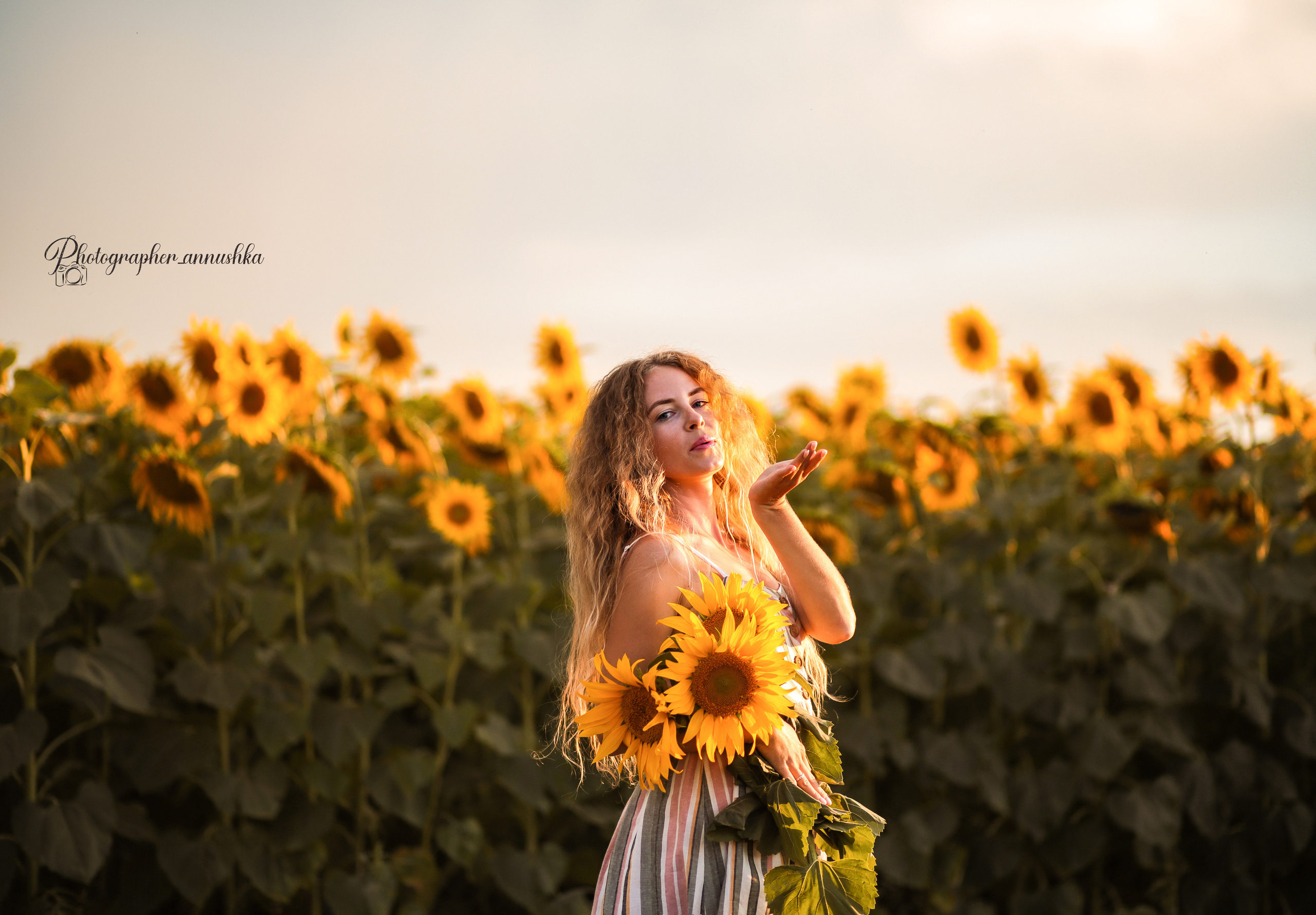 Золотые подсолнухи. Семейный фотограф в городе Саратове — Анна