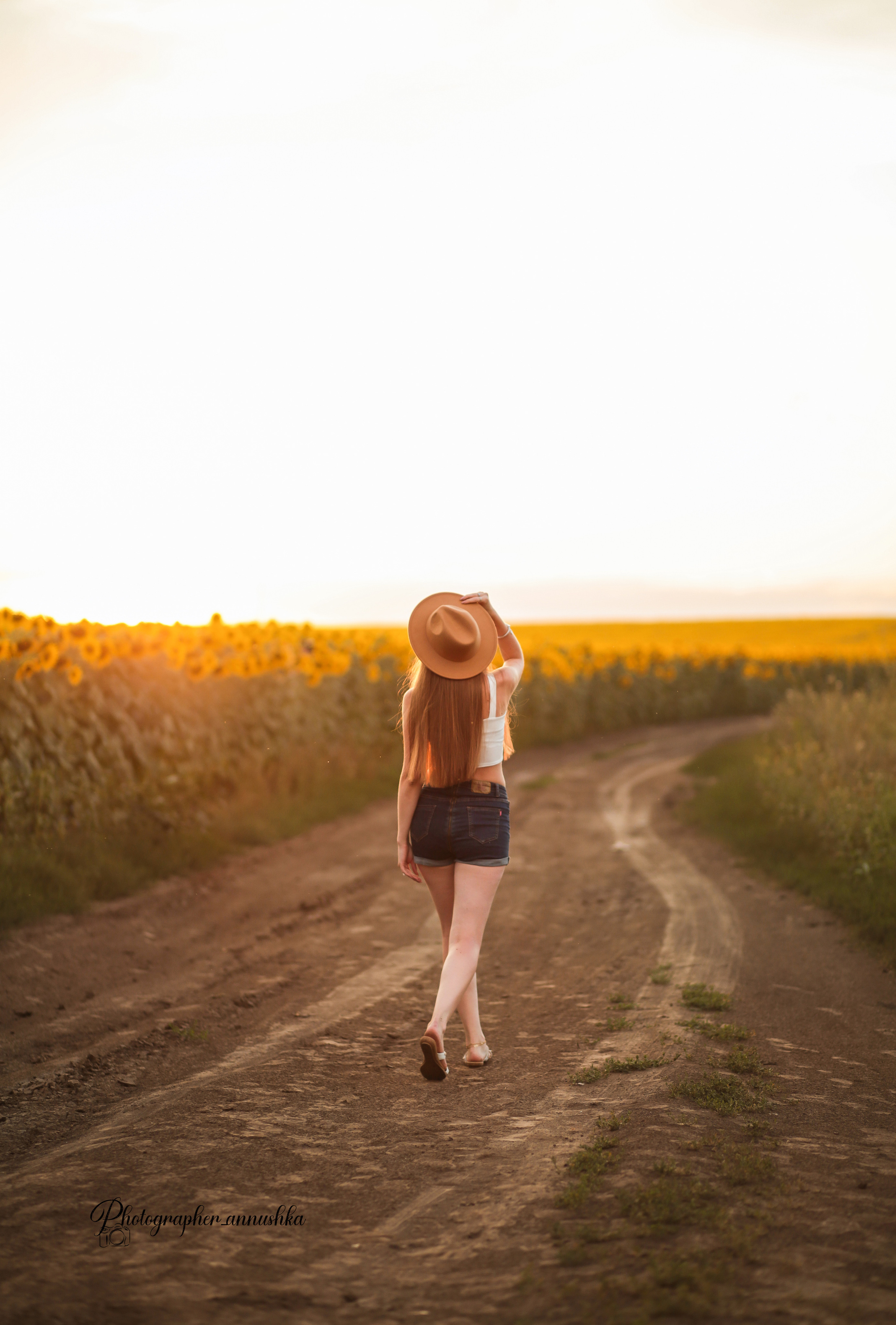 Золотые подсолнухи. Семейный фотограф в городе Саратове — Анна