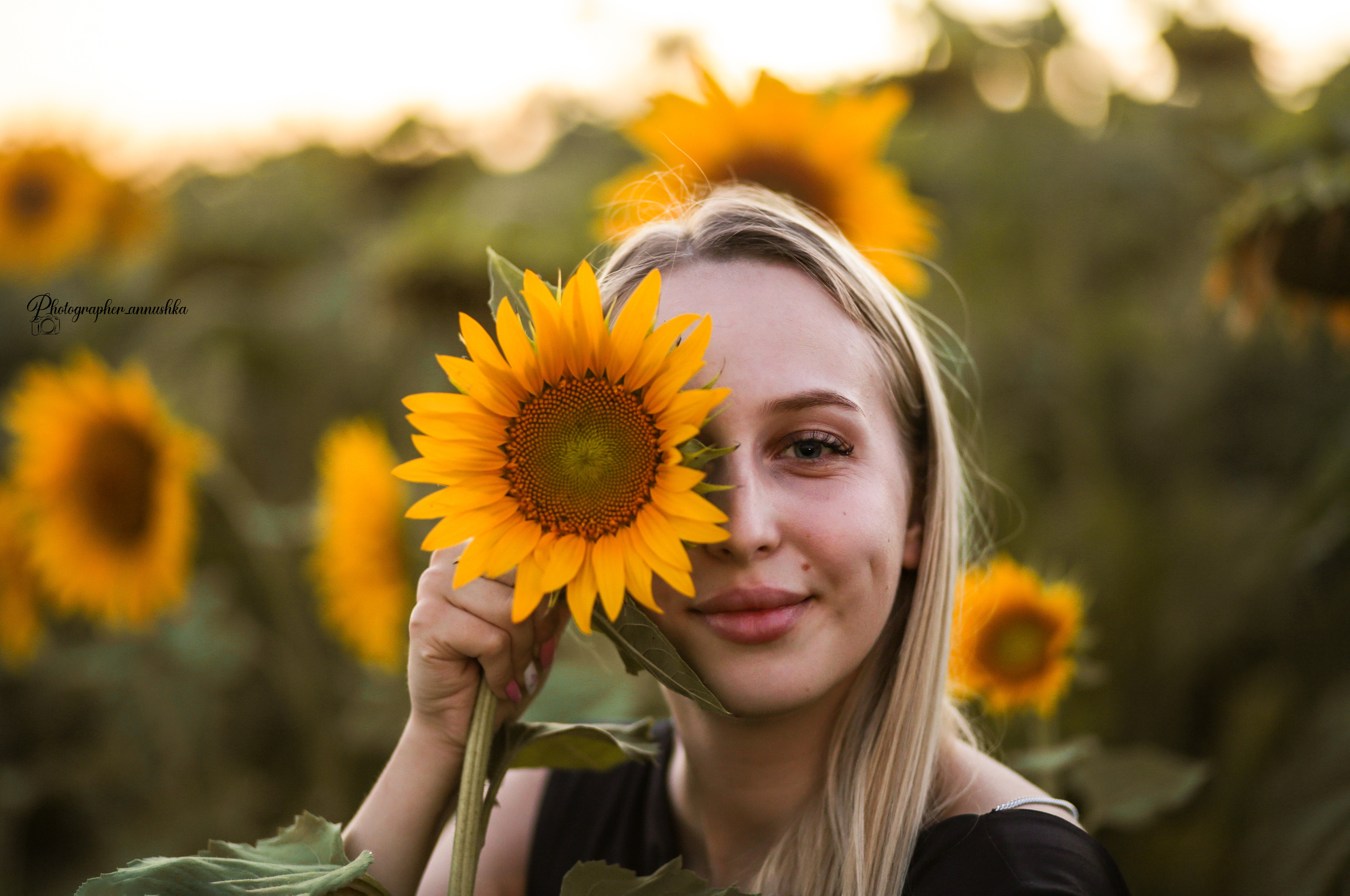 Золотые подсолнухи. Семейный фотограф в городе Саратове — Анна