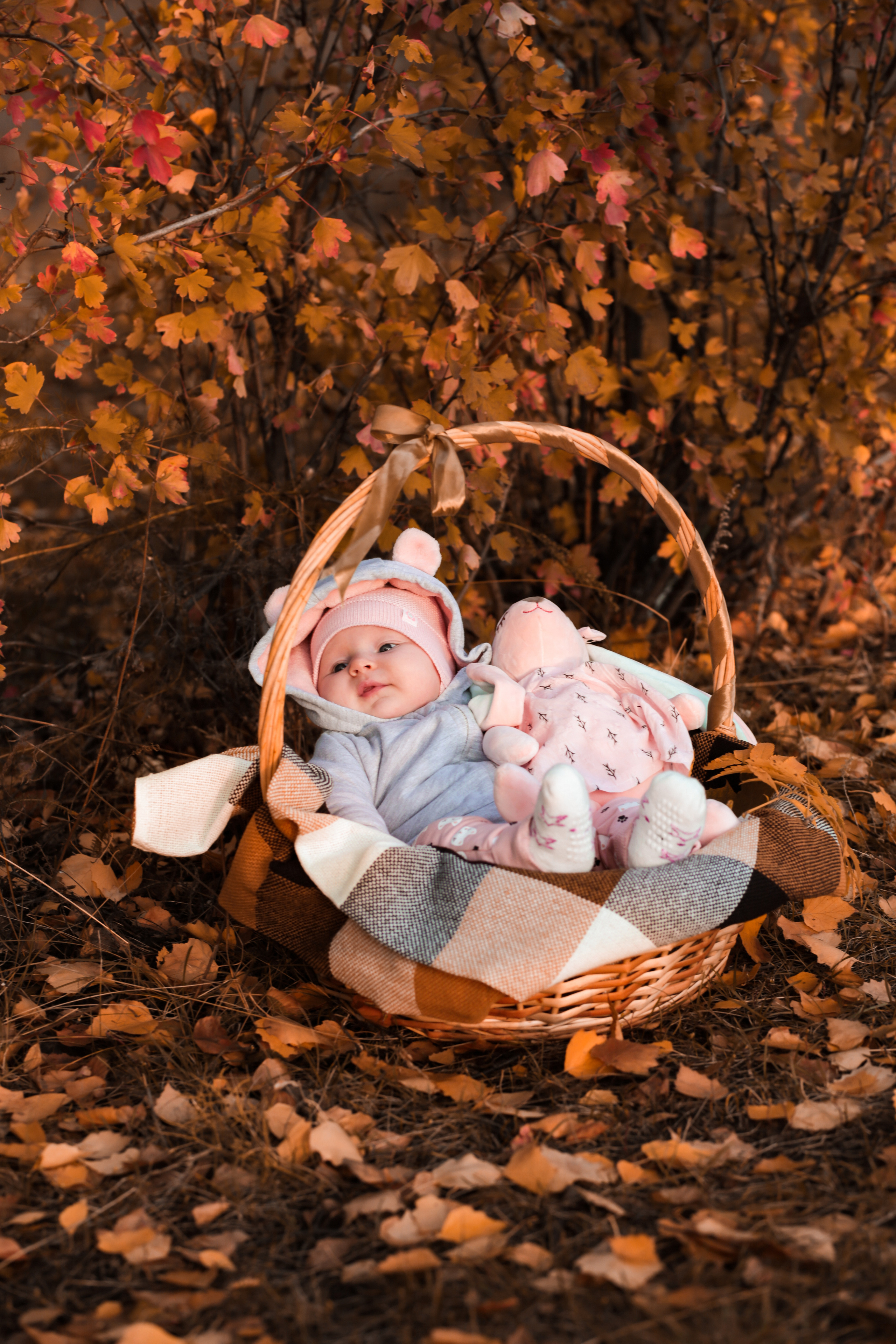 Лесная история. Семейный фотограф в городе Саратове — Анна