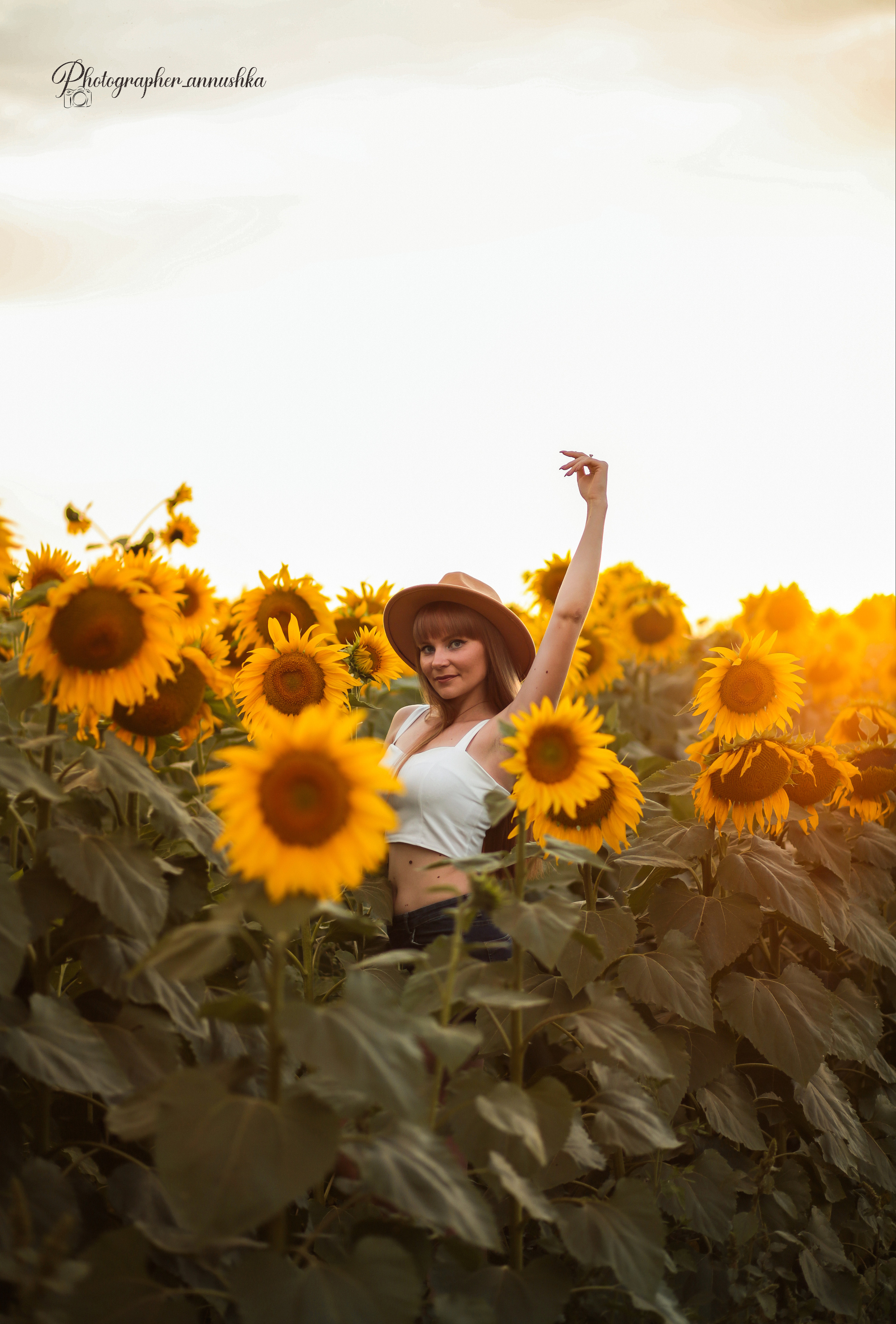 Золотые подсолнухи. Семейный фотограф в городе Саратове — Анна