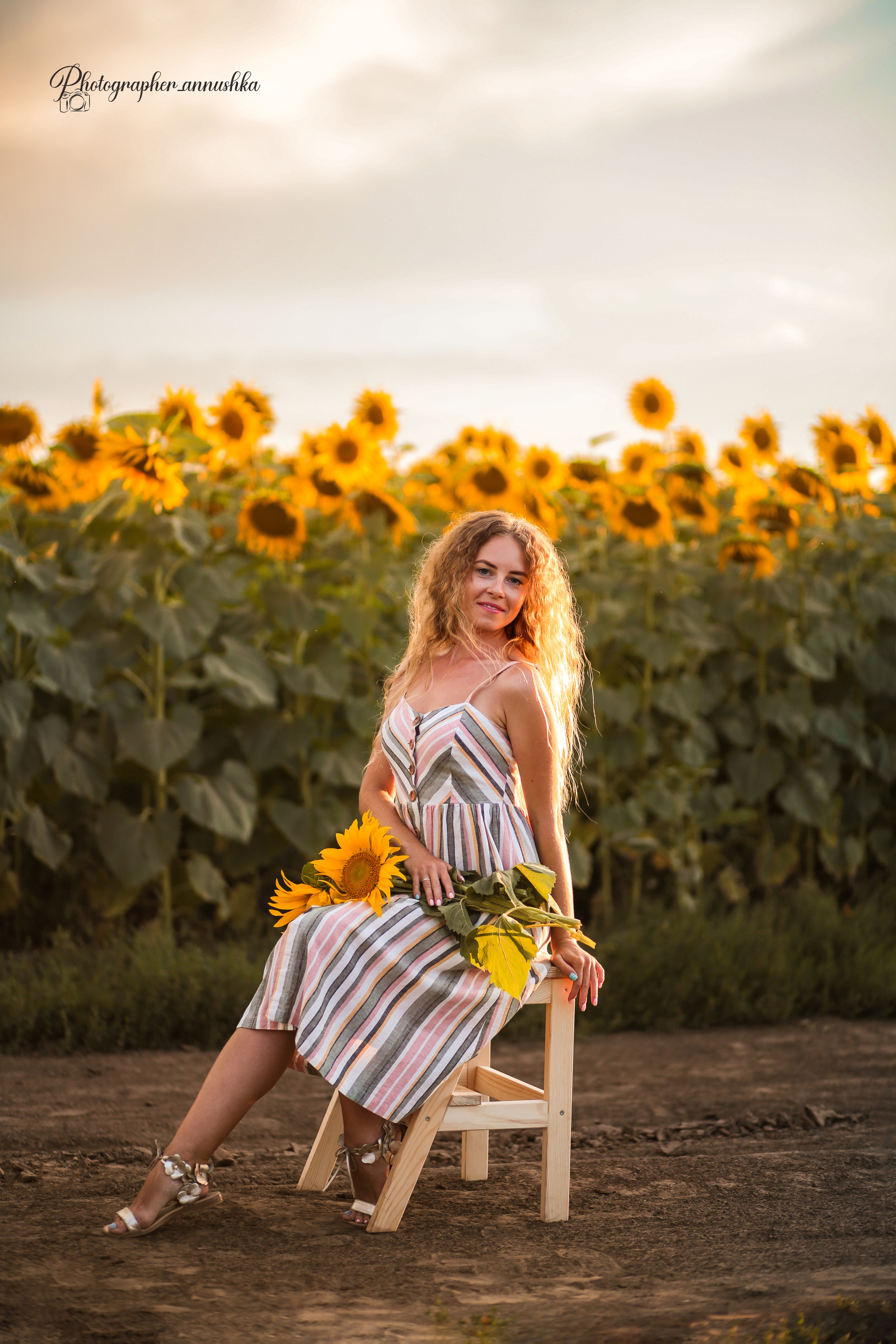 Золотые подсолнухи. Семейный фотограф в городе Саратове — Анна