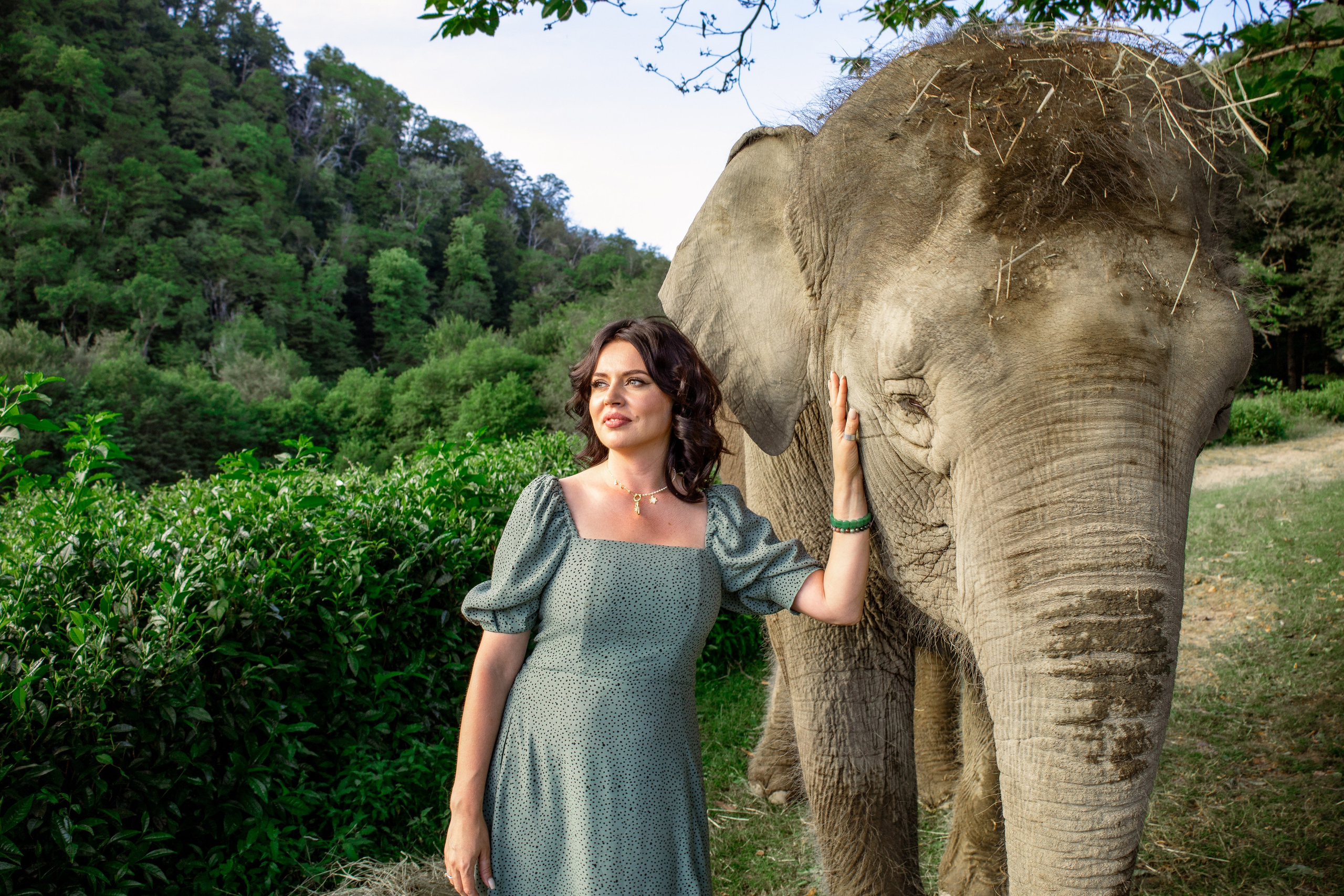 Слоны. Семейный и Свадебный фотограф в Сочи