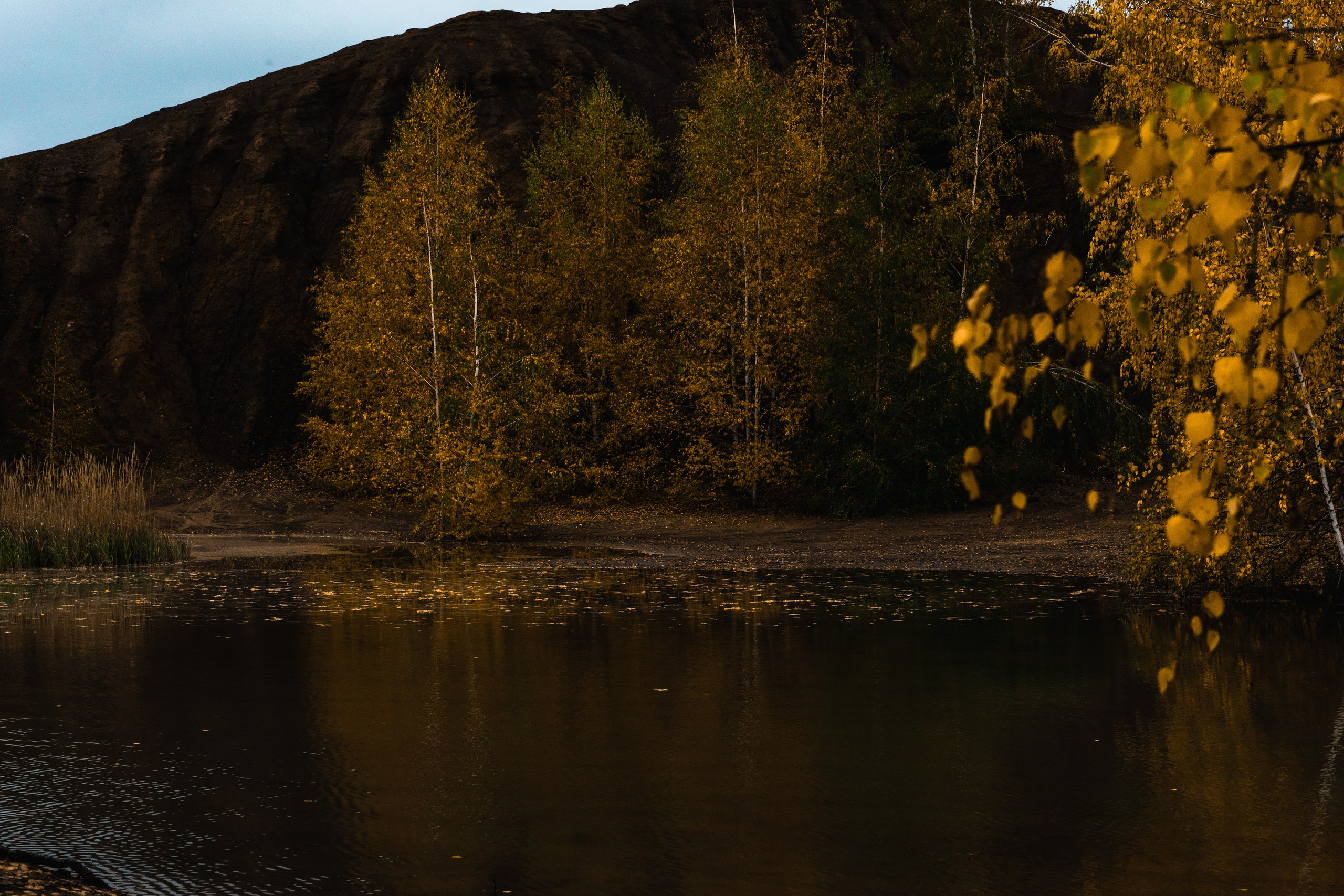 Кондуки. Октябрь 2023. Фотографии