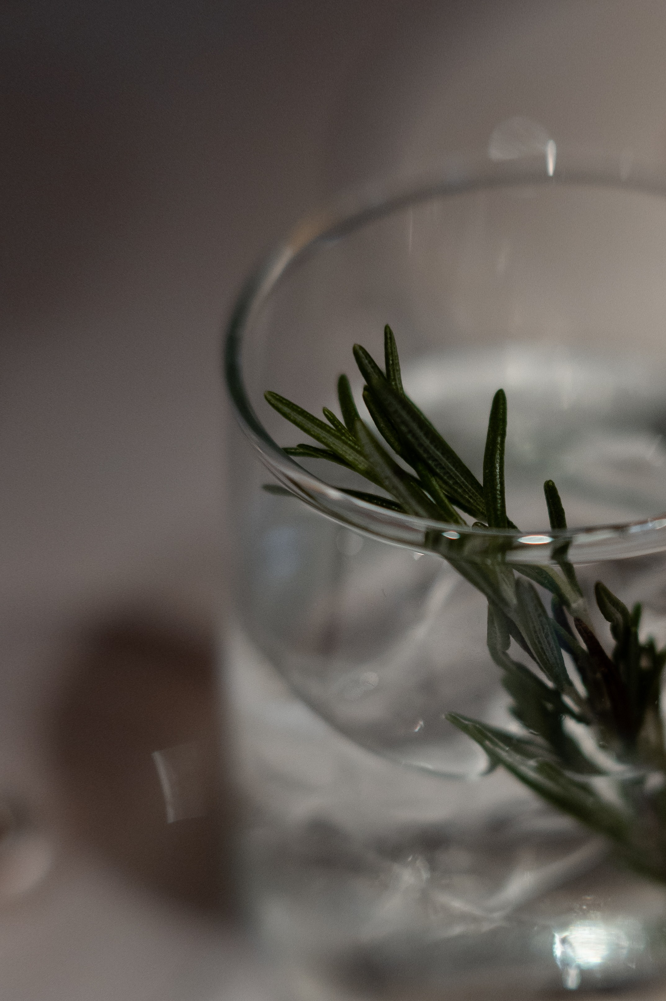 Ресторан "МиниСыроварня". СВАДЕБНЫЙ ФОТОГРАФ Яна Арбан Йошкар-Ола/Казань/Москва/Санкт-Петербург