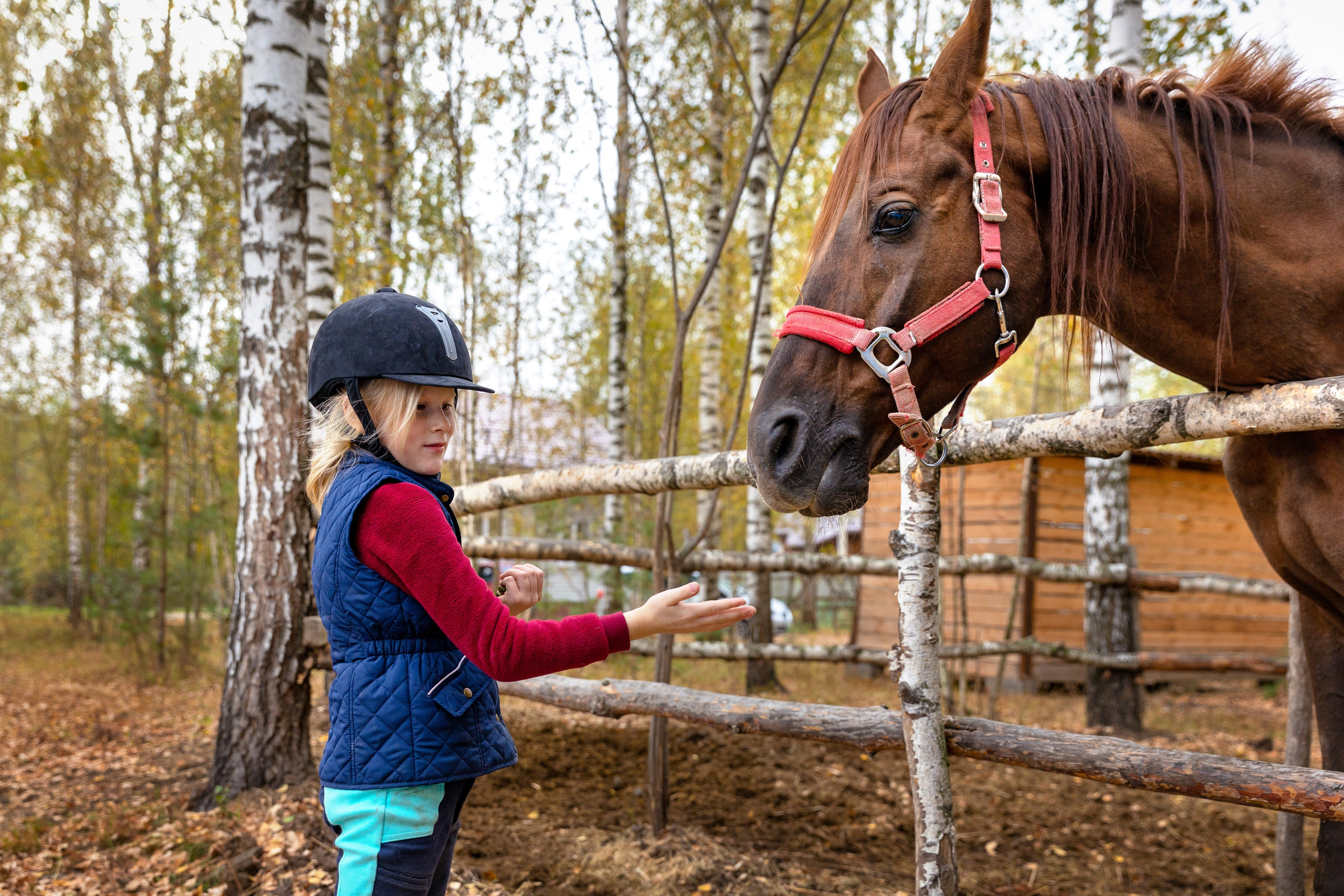 Конная тренировка Анастасии