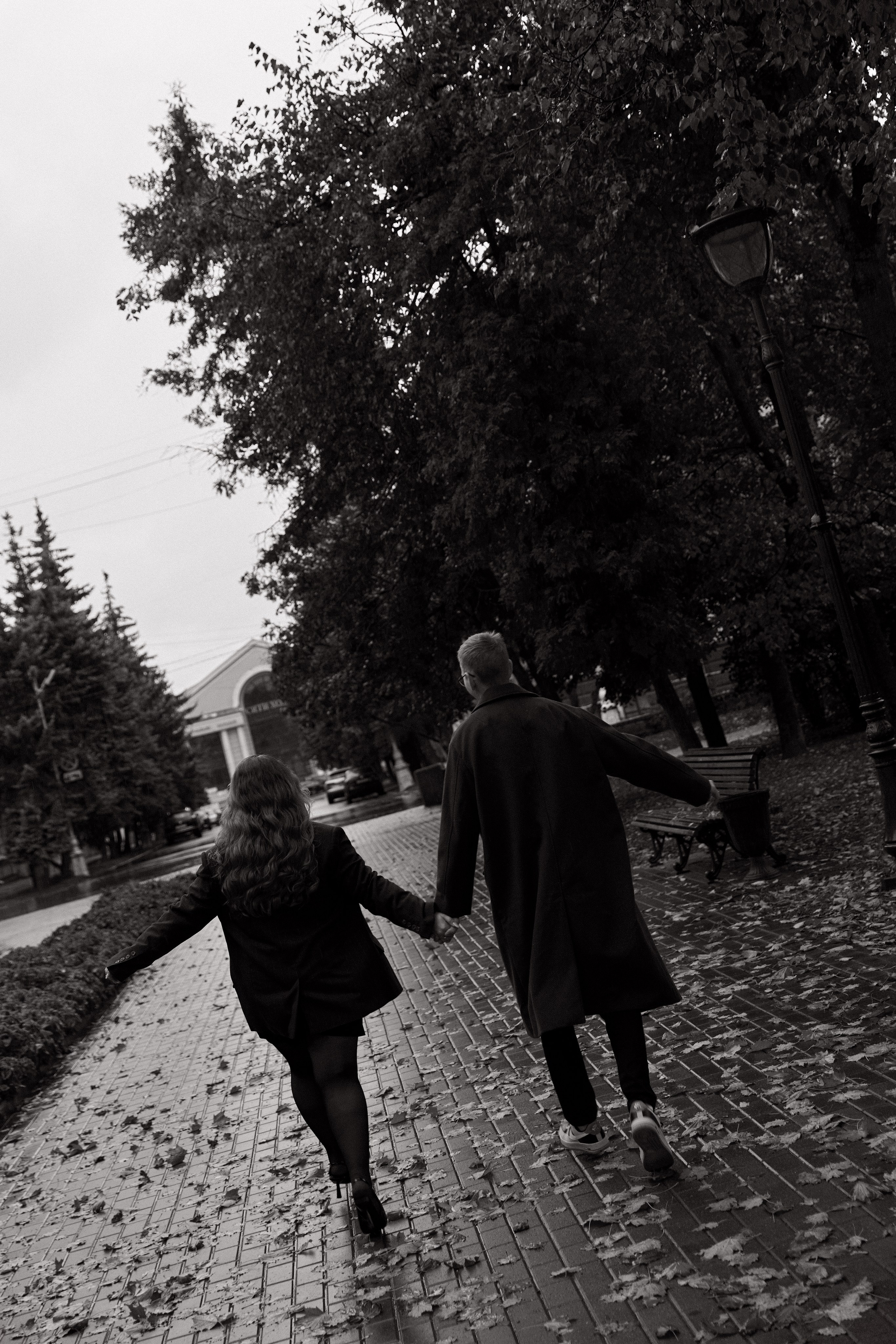 Подсолнухи