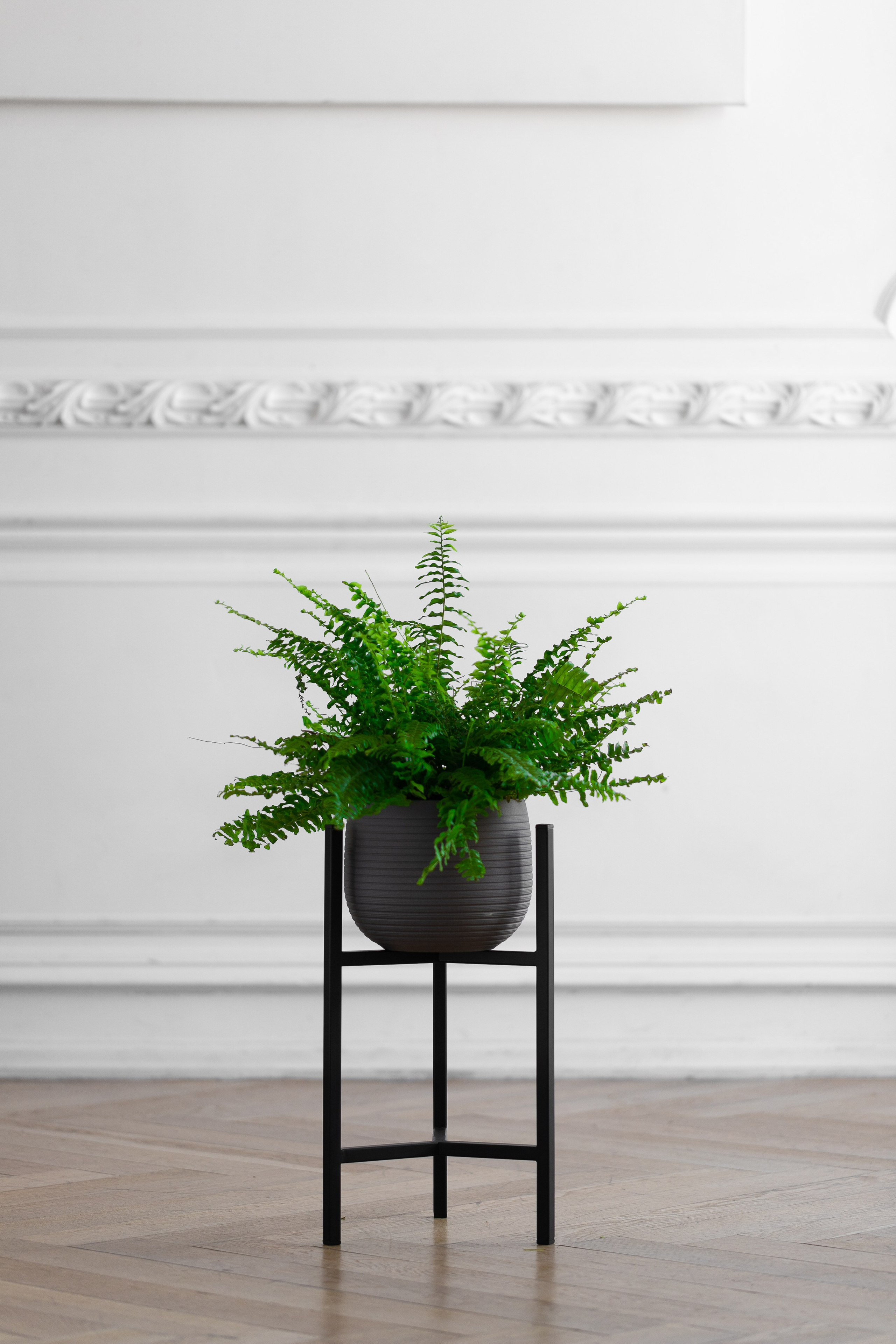 GREENWEEN. Дизайнерская мебель. Интерьерный фотограф и видеограф в Санкт-Петербурге Вадим Балбашевский