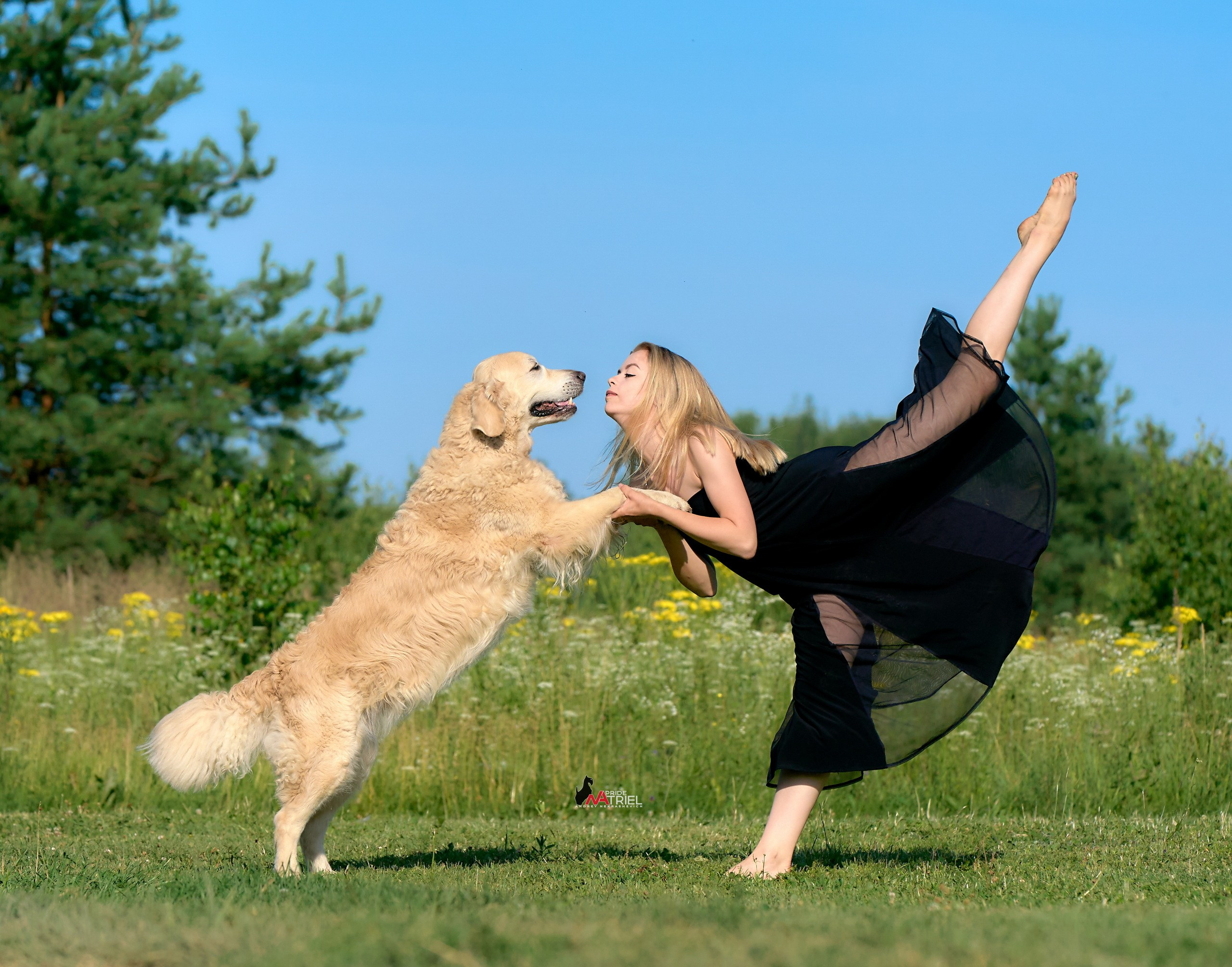 Обидиенс и танцы с собаками — галерея NATRIEL