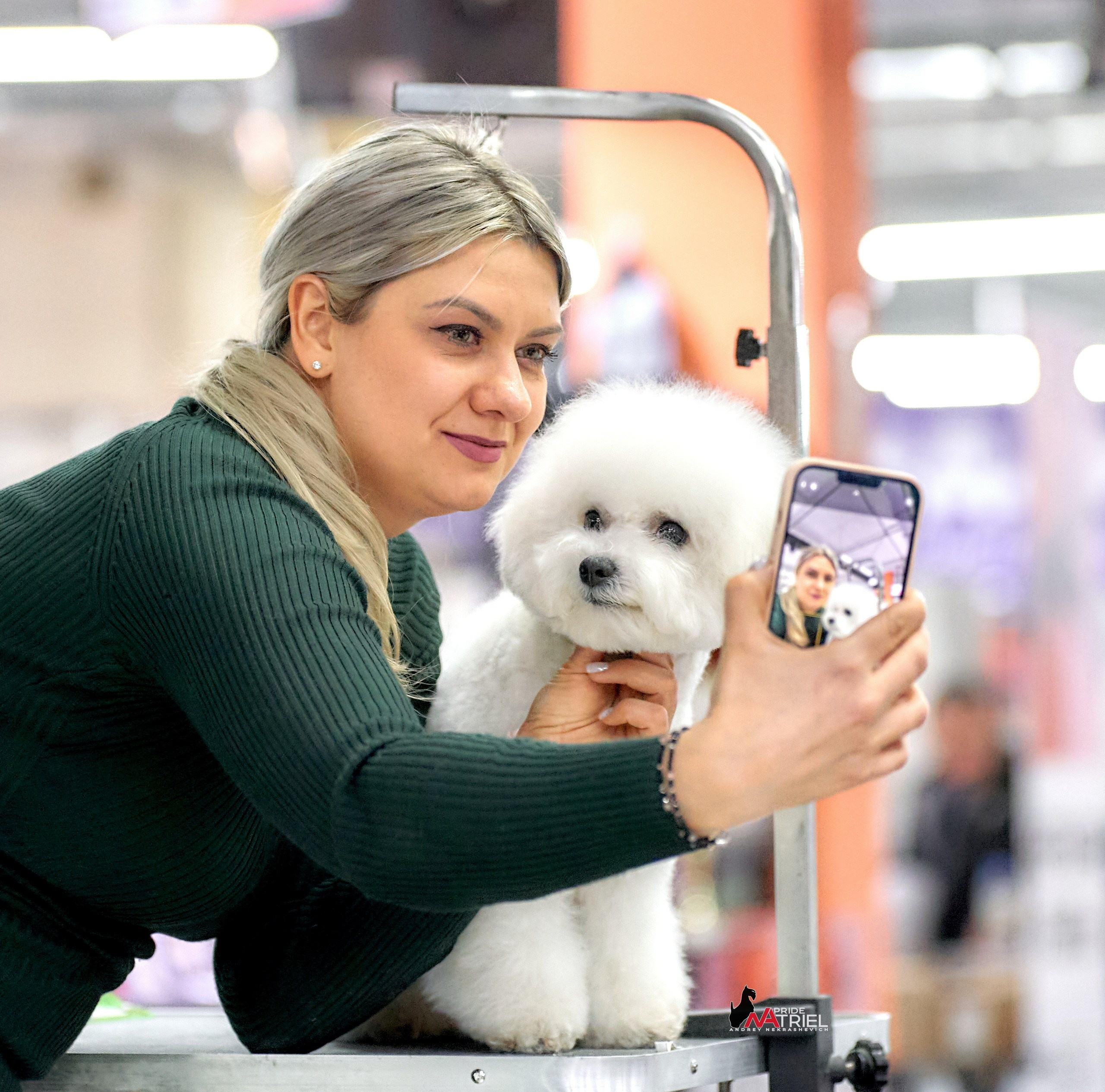 Картинки с выставки — галерея NATRIEL