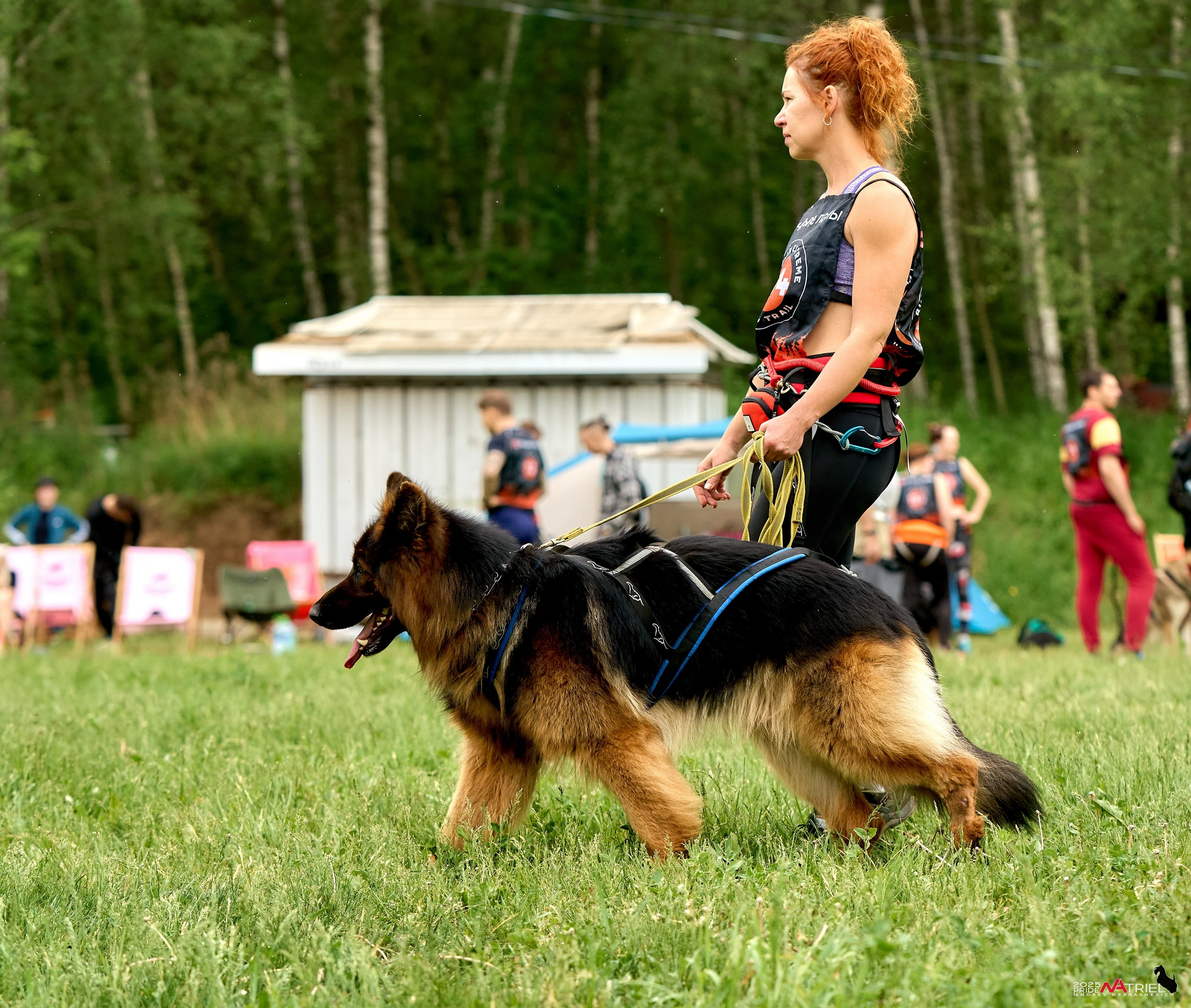 Russian Extreme Dog Trail — 2025
