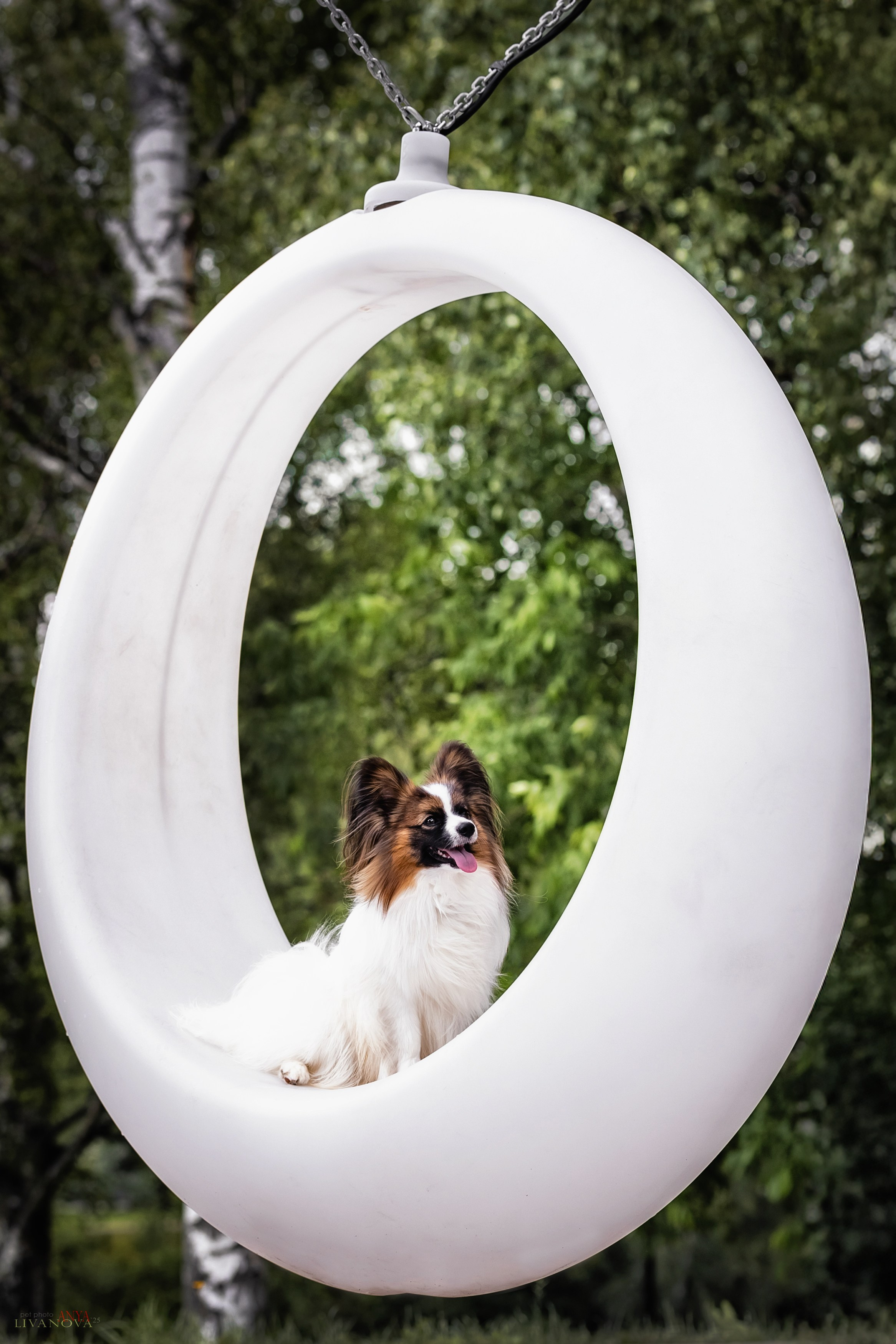 Хьюстон. Фотограф анималист Аня Ливанова | Рыбинск