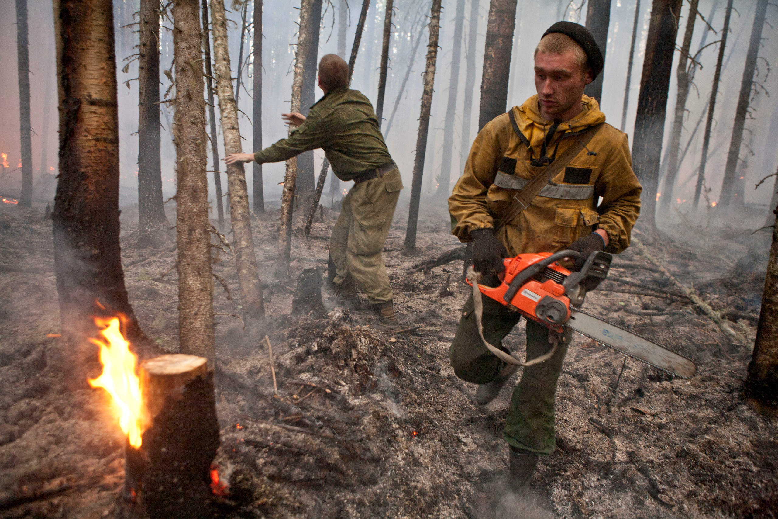 Пожары. Работа Авиалесоохраны. Фотограф Анна Барне