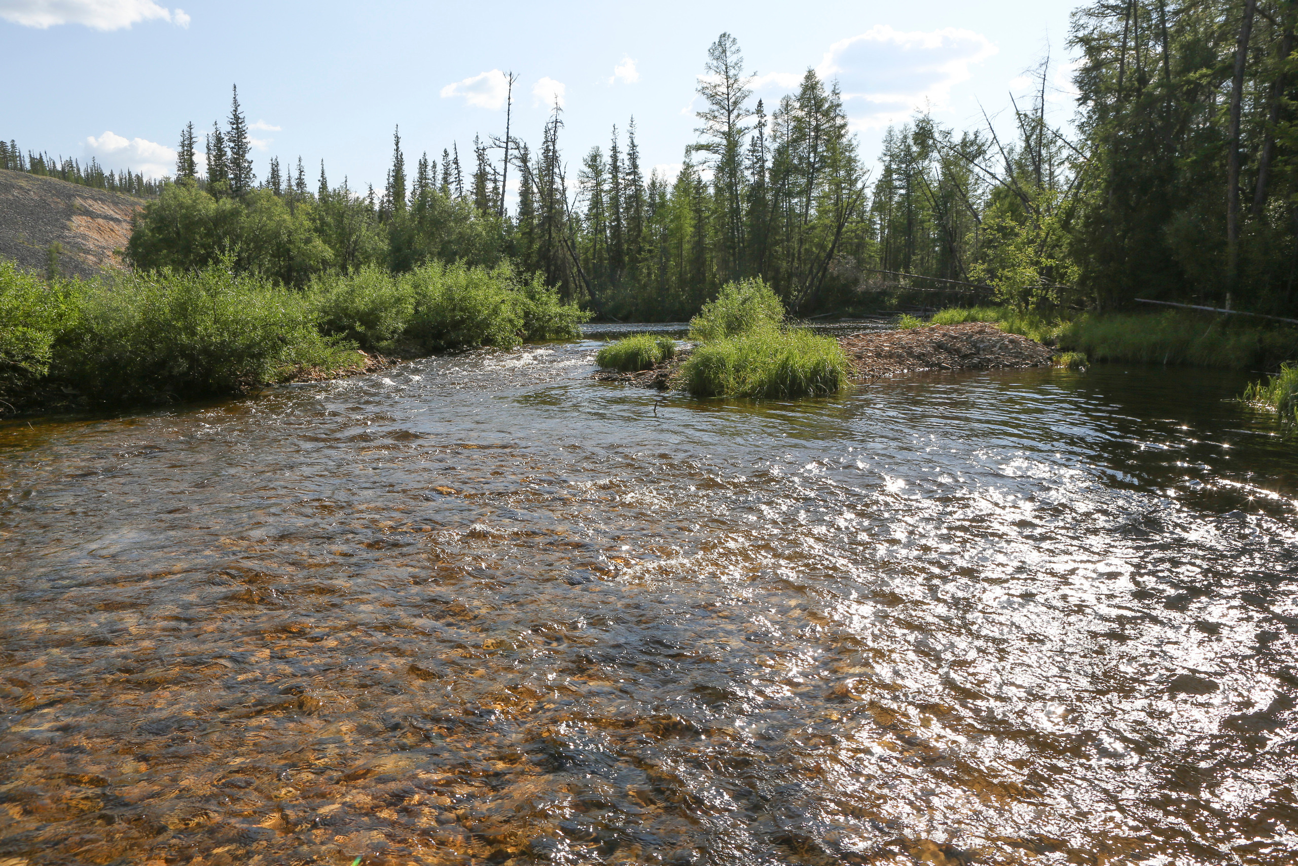 Пейзажи. Фотограф Анна Барне