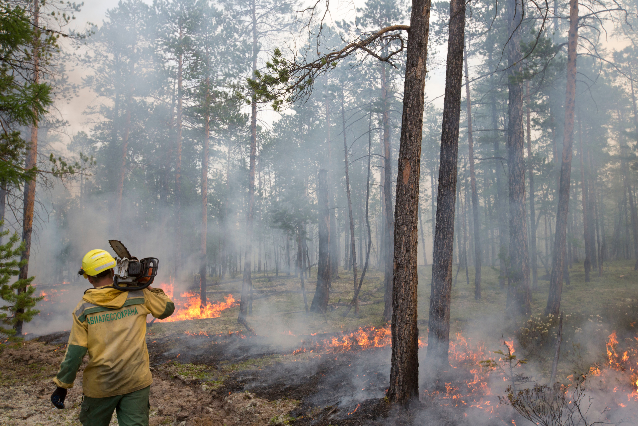 Пожары. Работа Авиалесоохраны. Фотограф Анна Барне