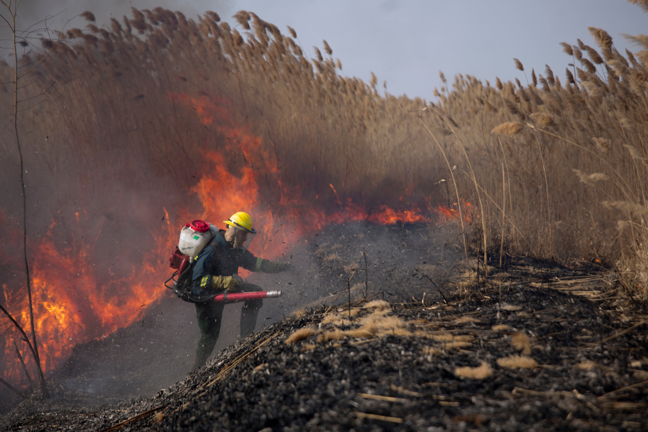 Пожары. Работа добровольцев. Фотограф Анна Барне