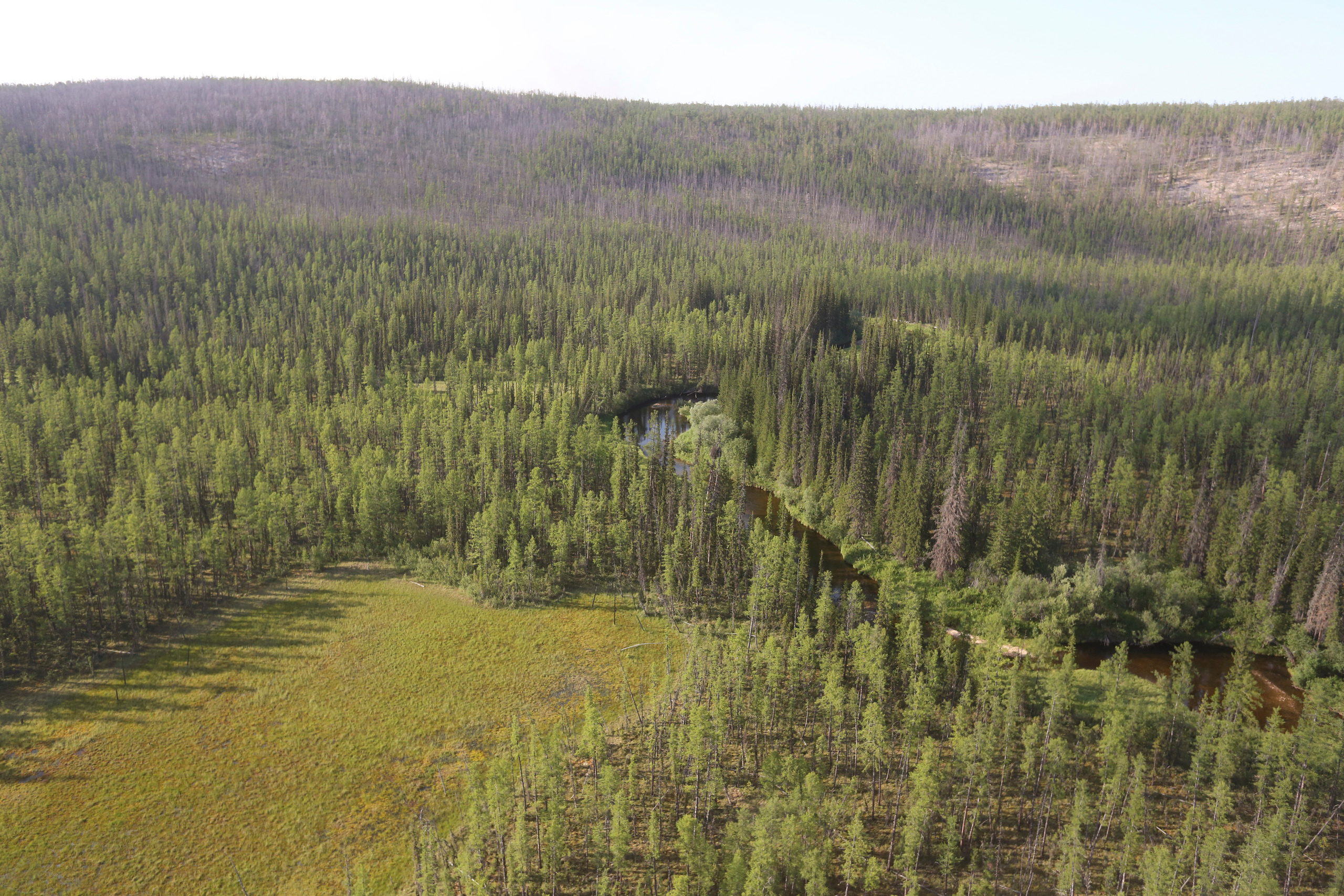Пейзажи. Фотограф Анна Барне