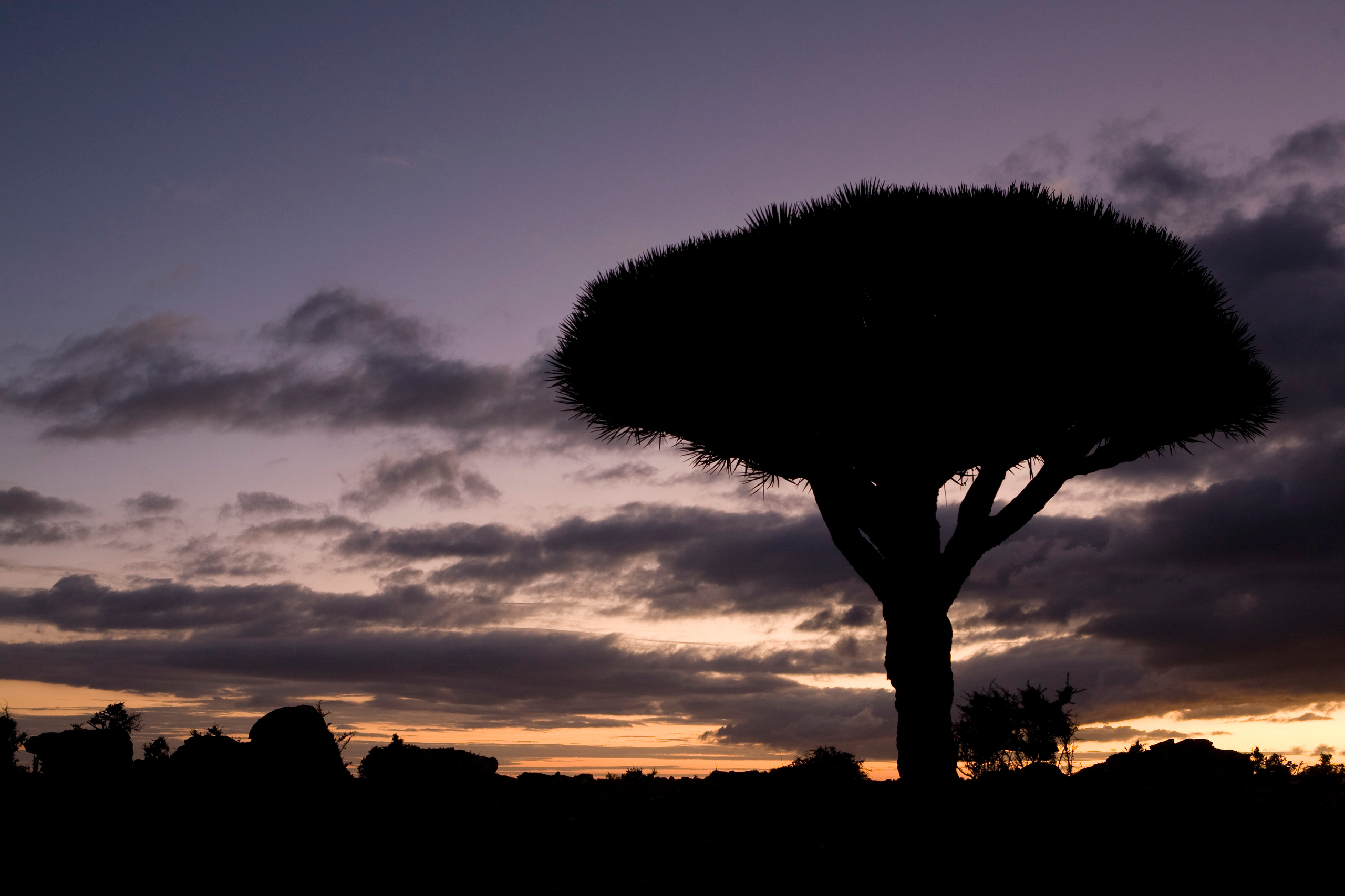 Йемен. Фотограф Анна Барне